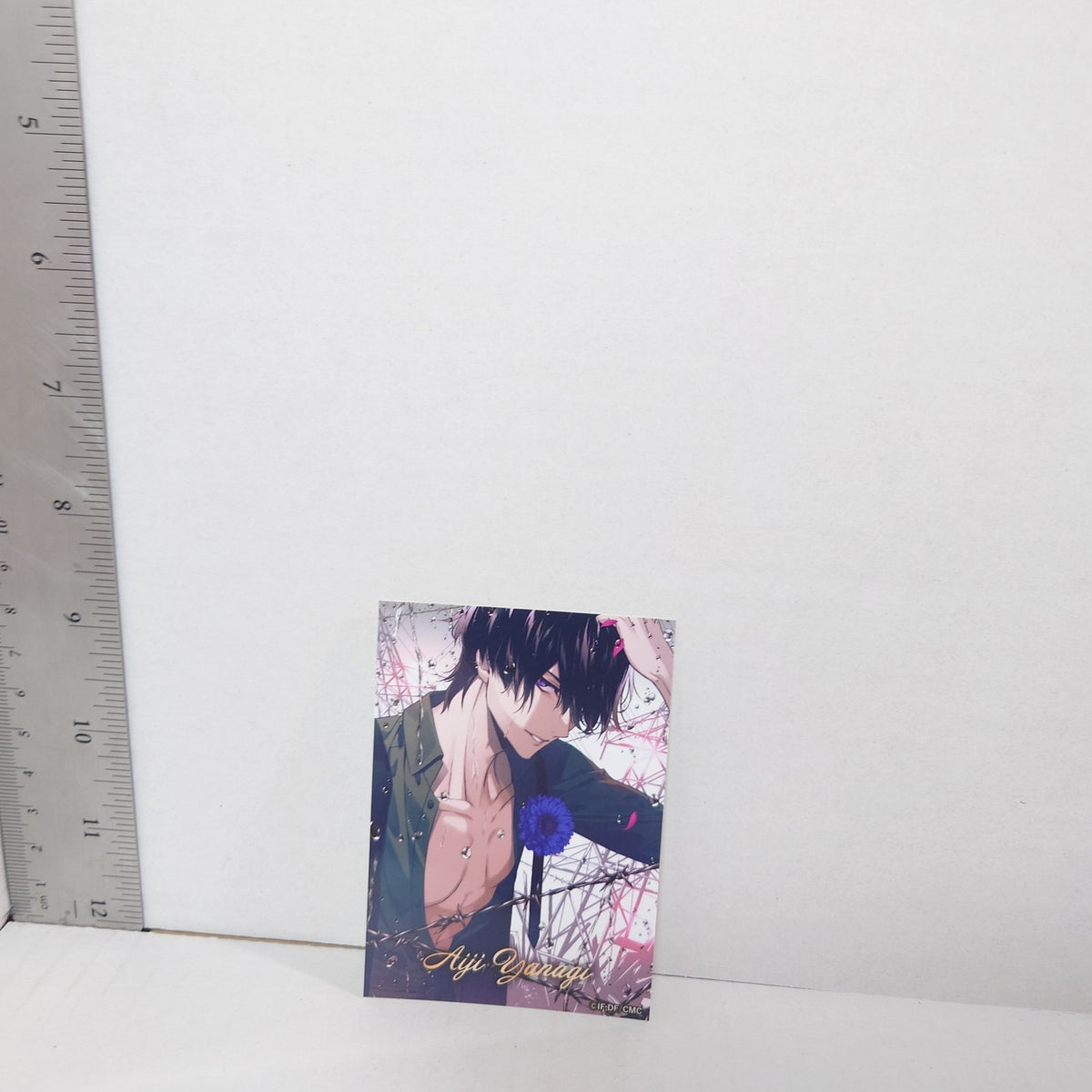 Aiji Yanagi Collar x Malice Trading Bromide