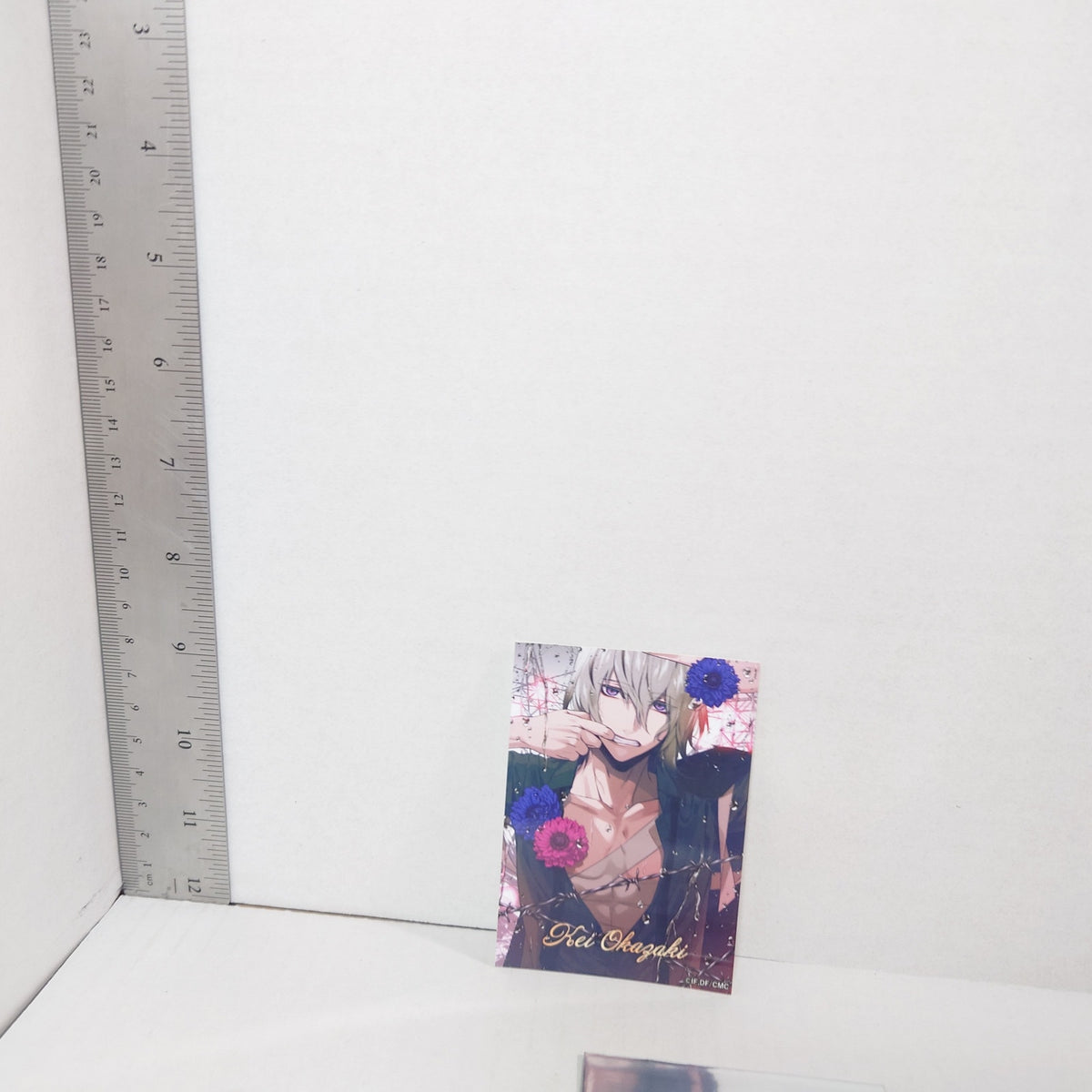 Kei Okazaki Collar x Malice Trading Bromide