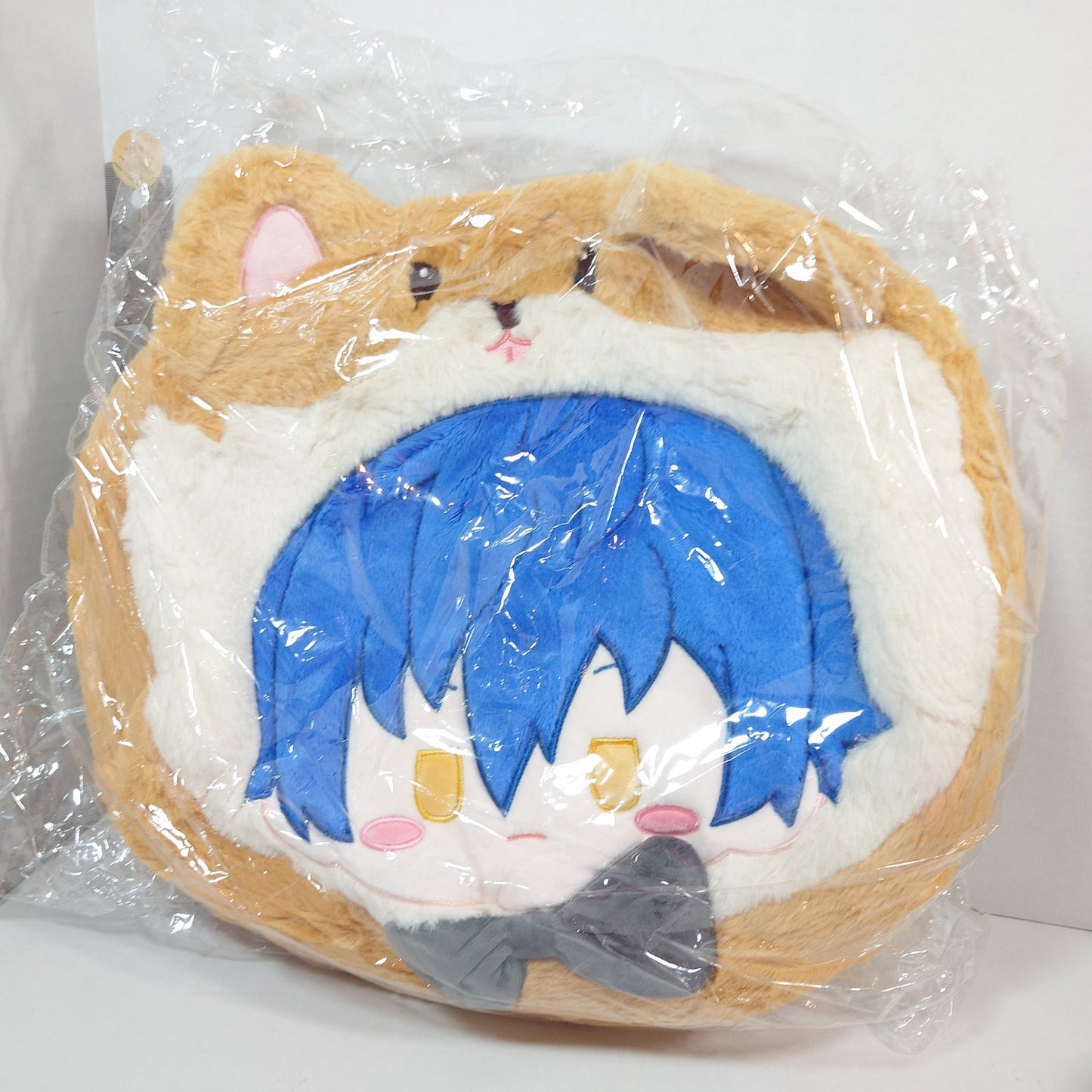 Jun Sazanami Eden Ensemble Stars CN TapTap Itabag