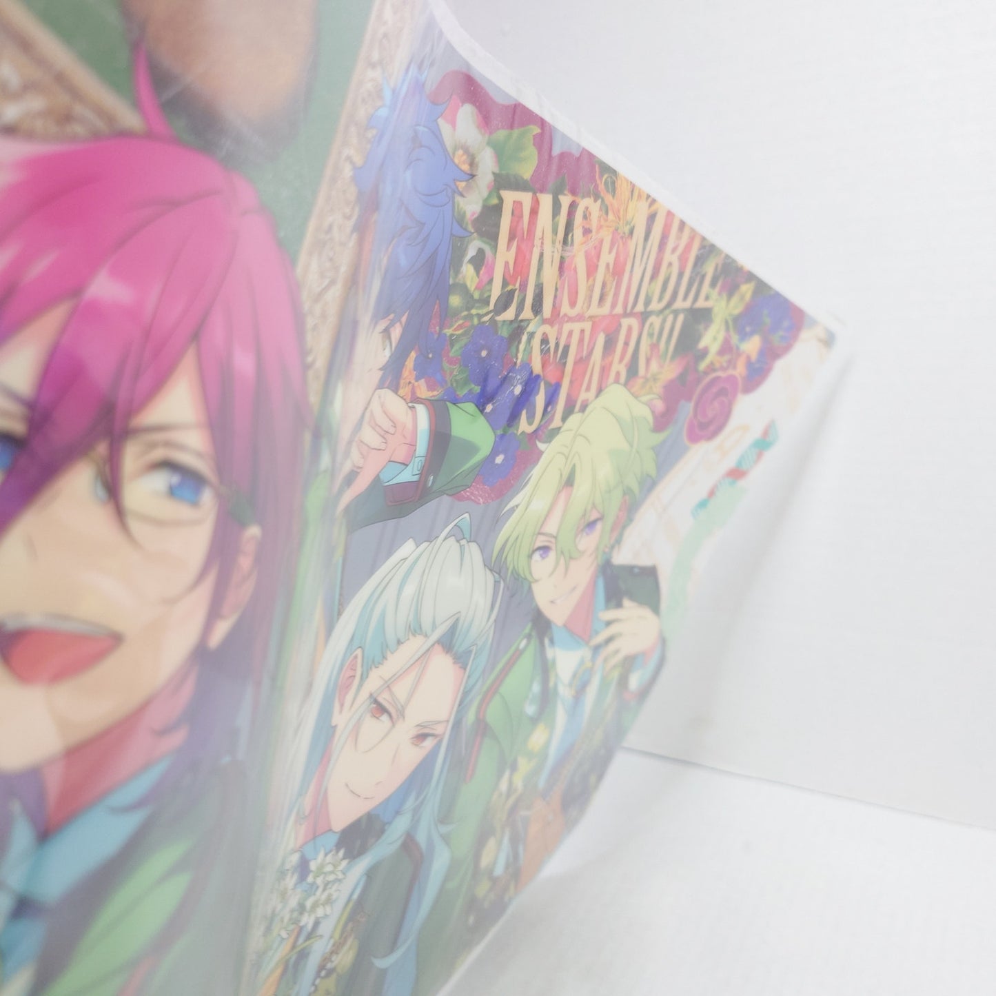 Eden Ensemble Stars TRIP Plastic Poster