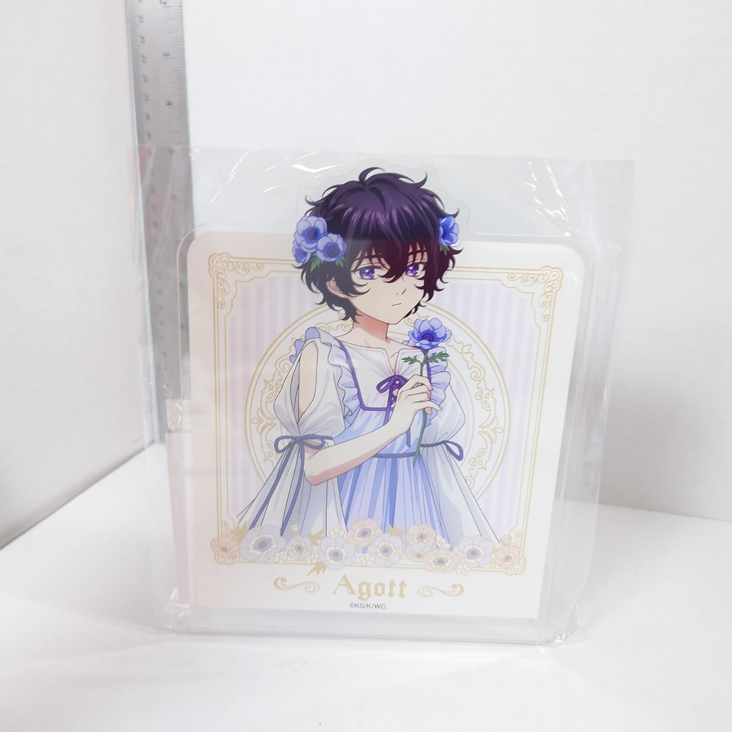 Agott Witch Hat Atelier Acrylic Bookend Stand