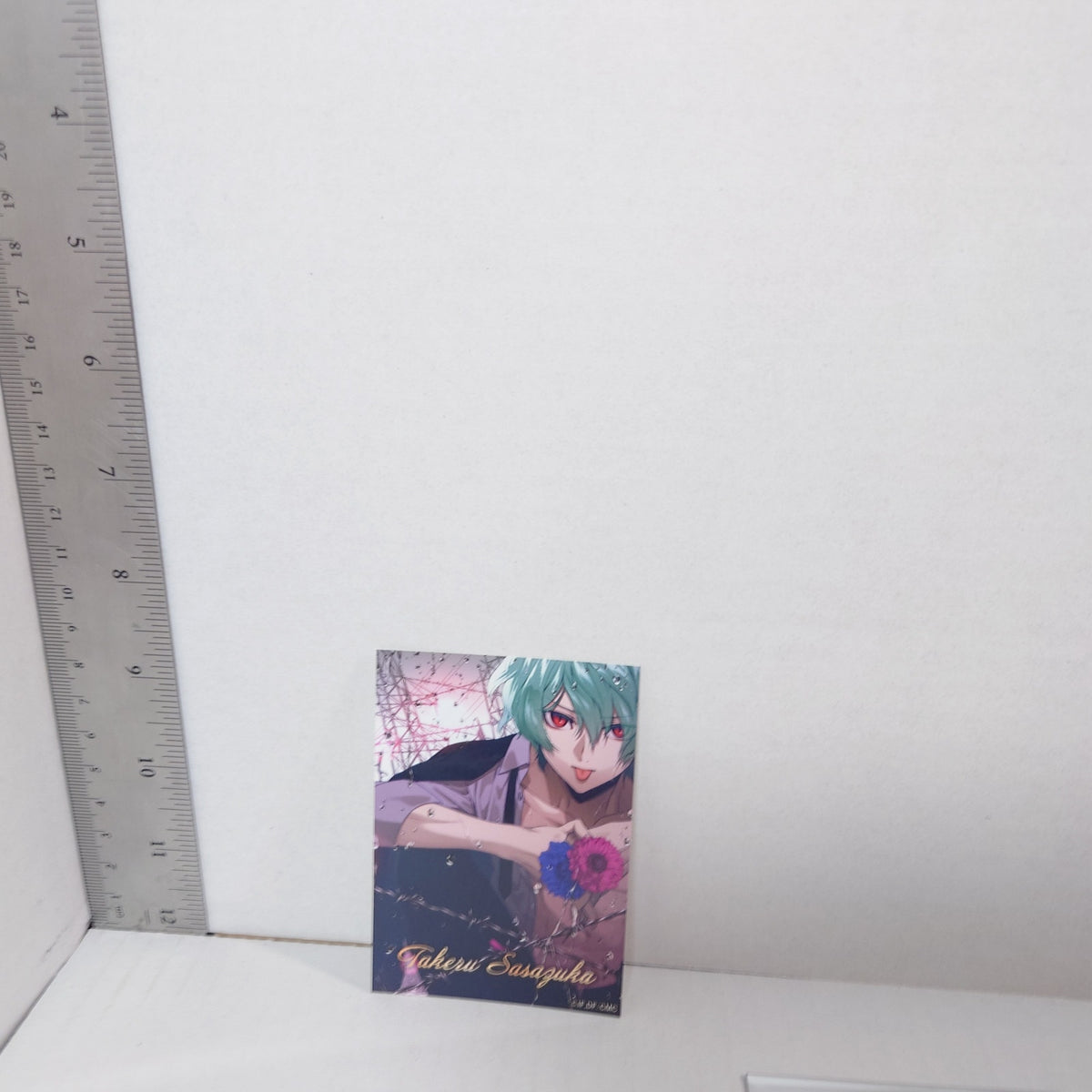 Takeru Sasazuka Collar x Malice Trading Bromide