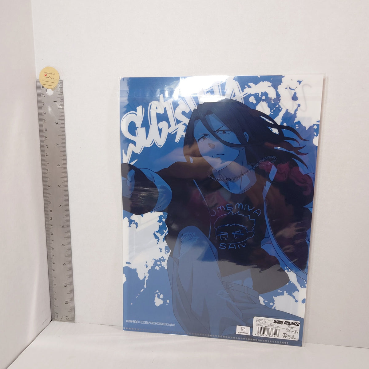 Kyotaro Sugishita WIND BREAKER Clear File