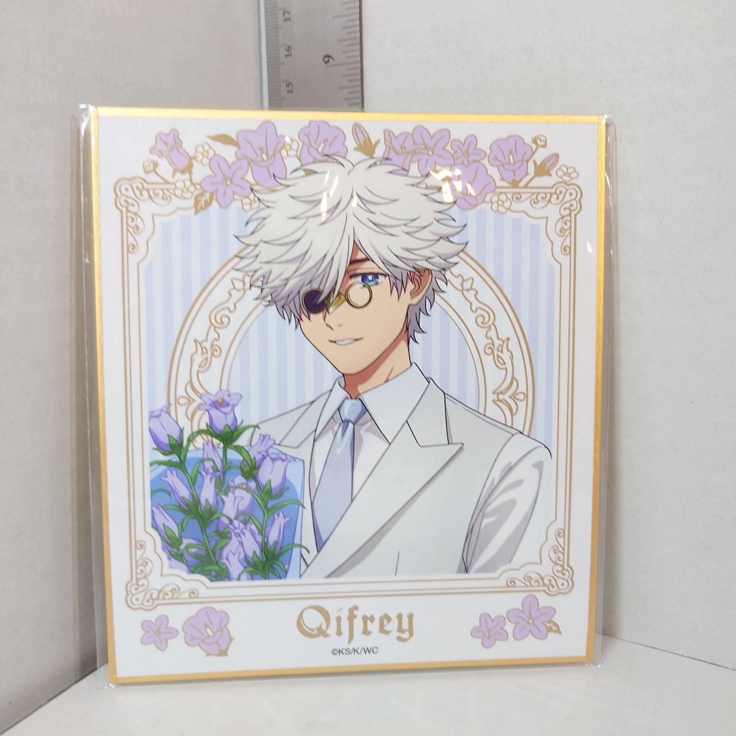 Qifrey Witch Hat Atelier Shikishi