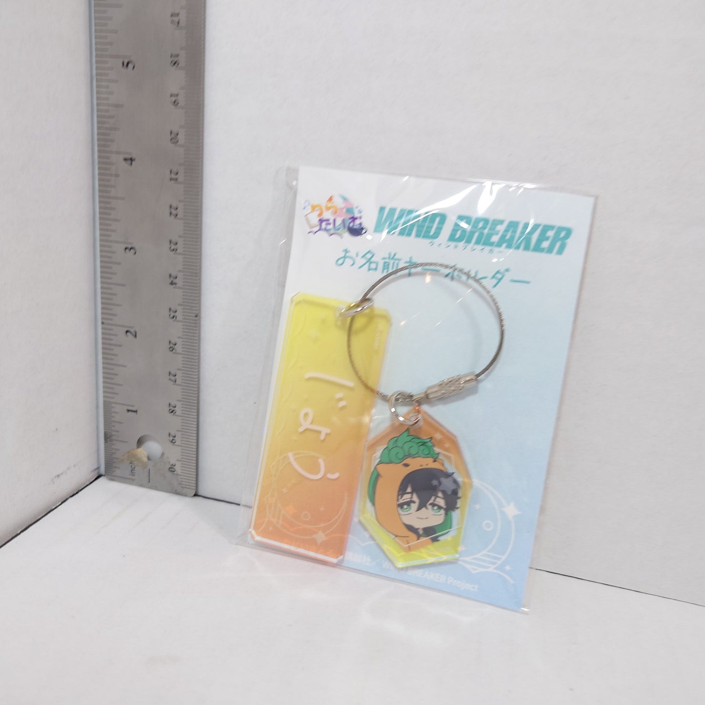Jo Togame WIND BREAKER Acrylic Keychain