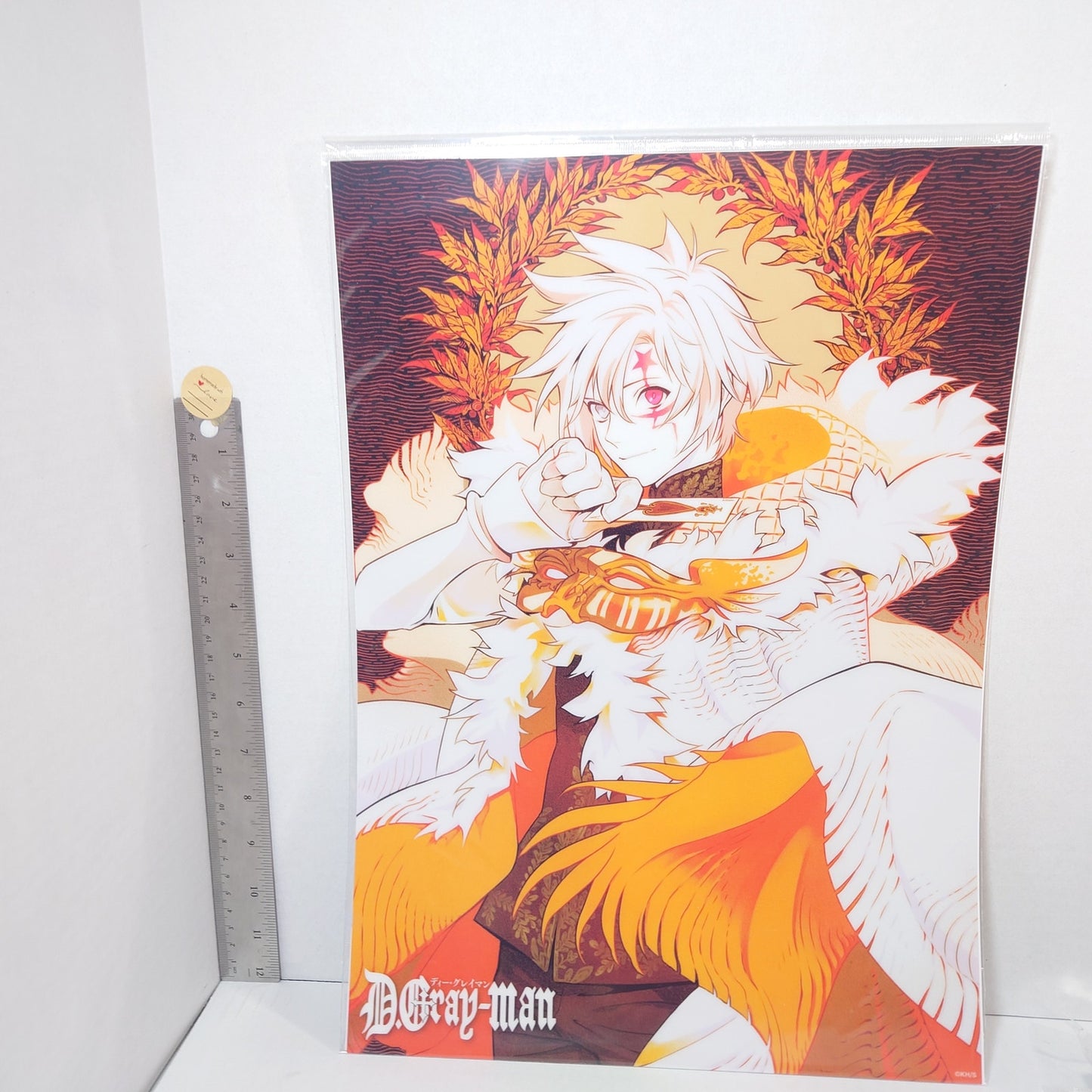 Allen Walker D.Gray-man Plastic Poster