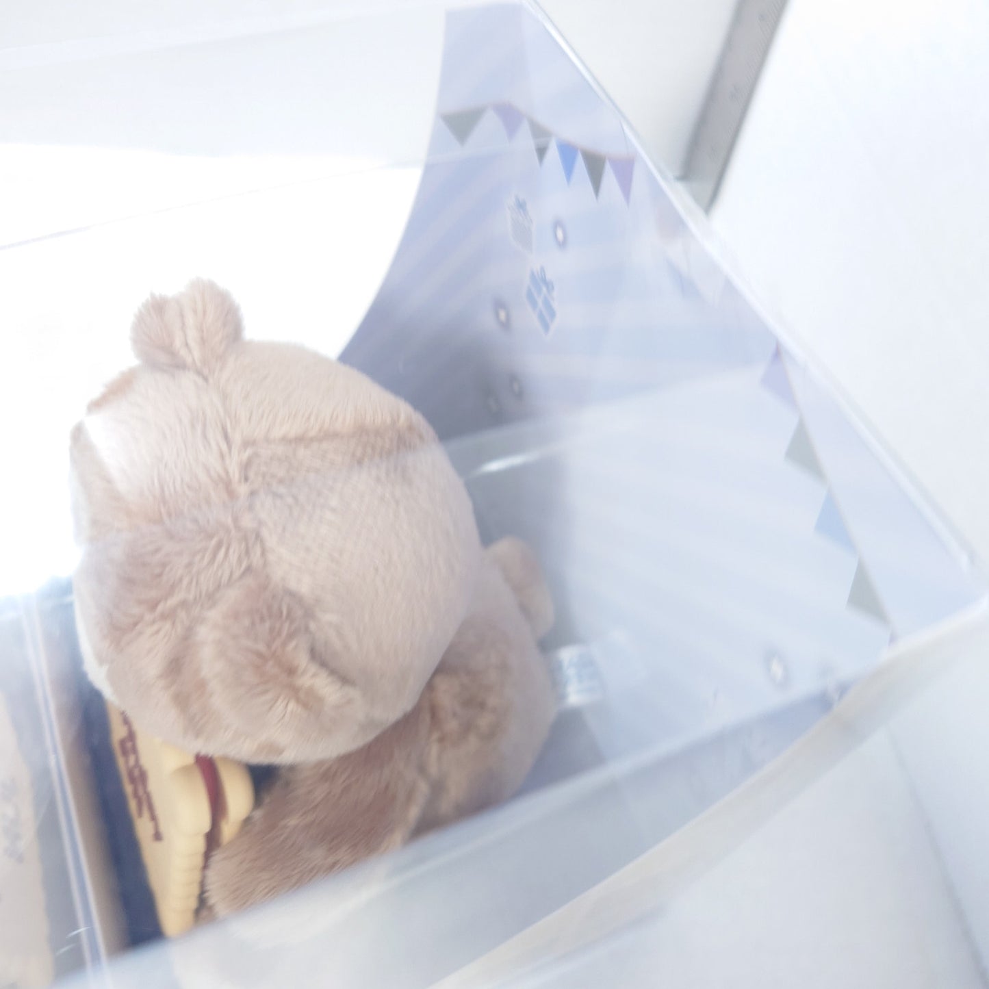 Jun Sazanami Eden Ensemble Stars Birthday Bear Plush