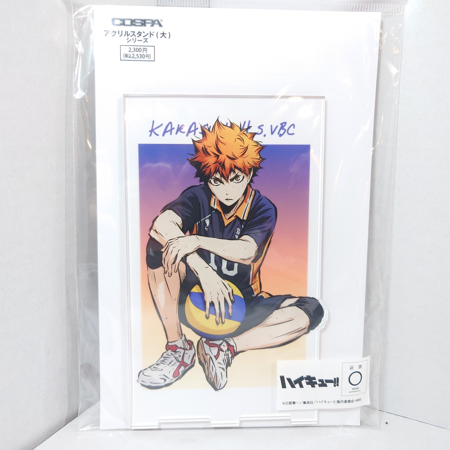 Hinata Shoyo Haikyuu!! Acrylic Panel/Stand