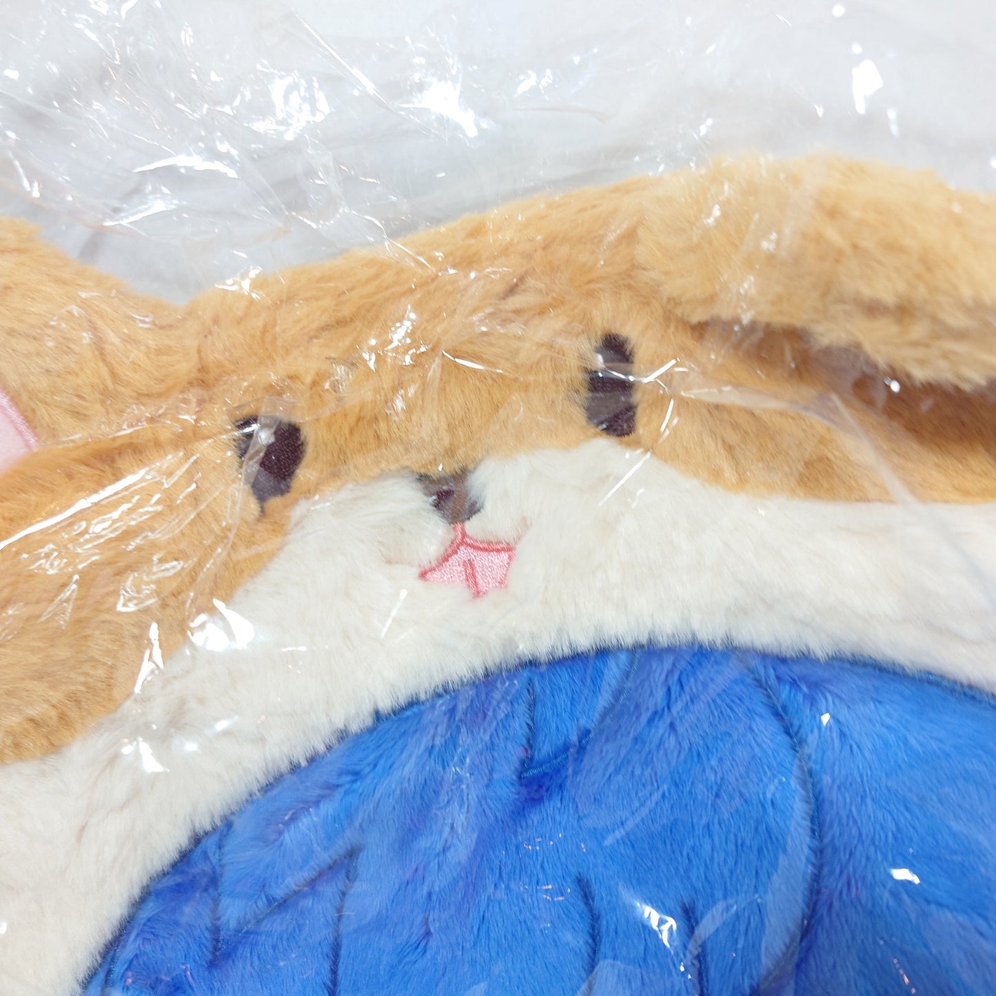 Jun Sazanami Eden Ensemble Stars CN TapTap Itabag