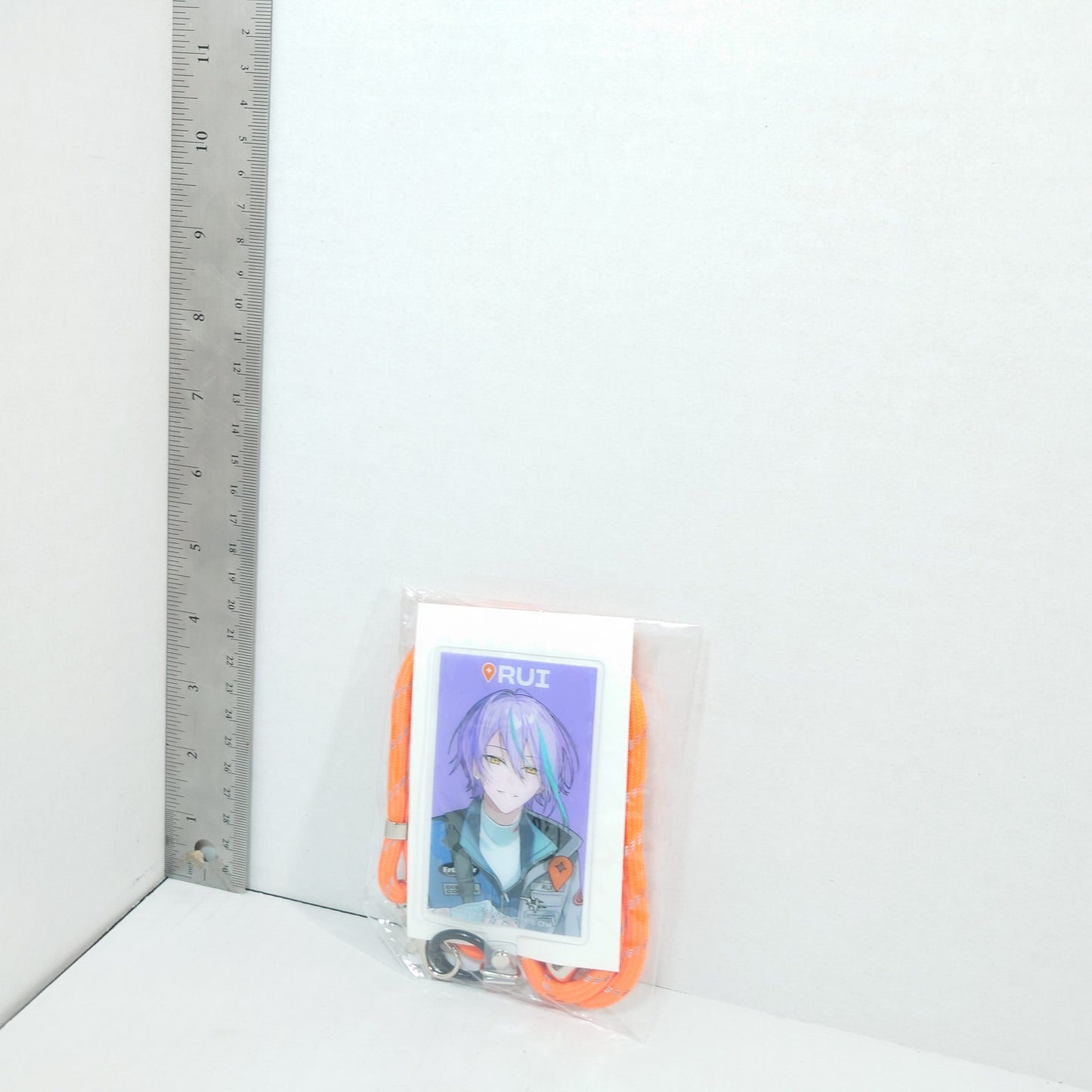 Rui Kamishiro Wonderlands x Showtime Project Sekai Frontier Fag