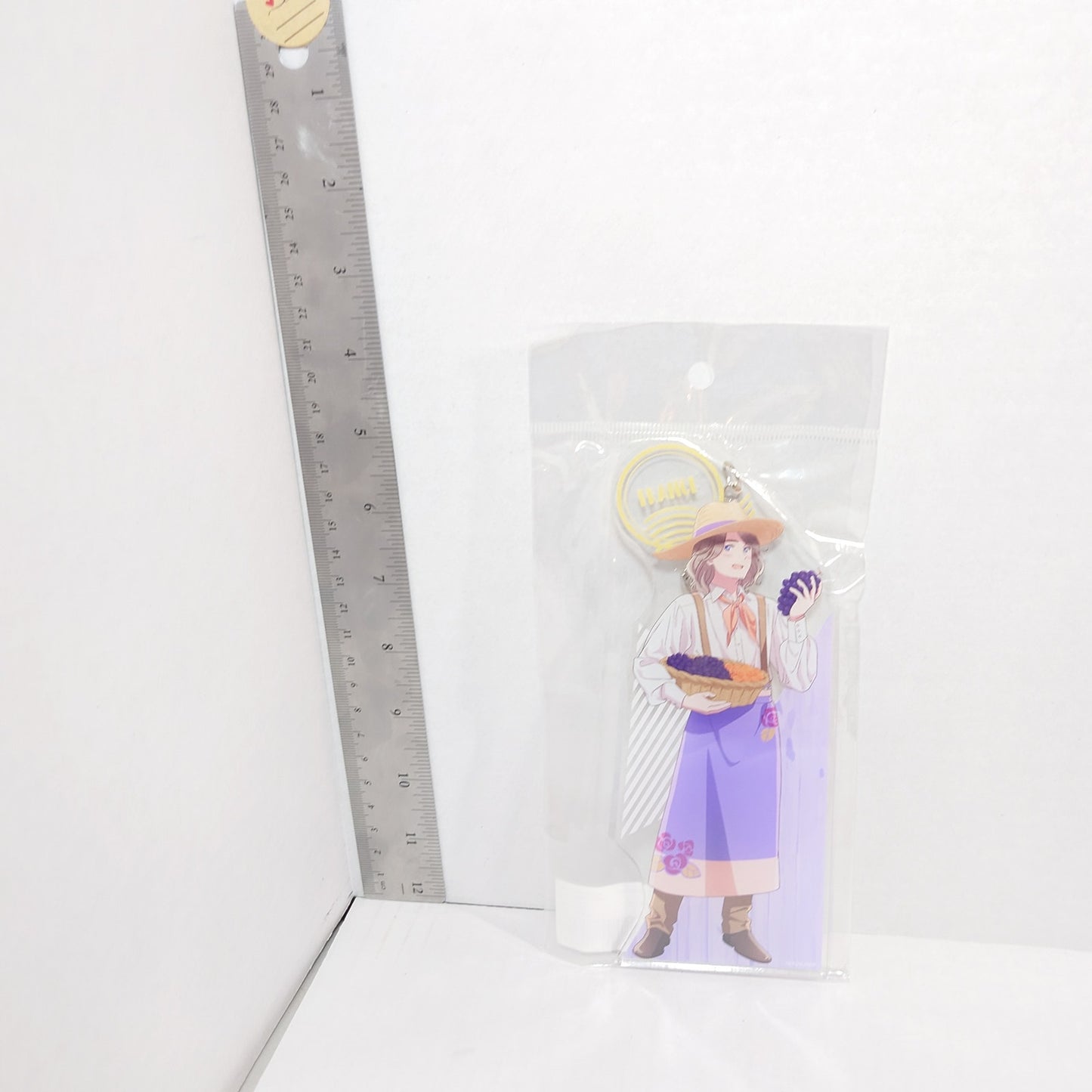 France Hetalia World Stars Farming BIG Acrylic Keychain