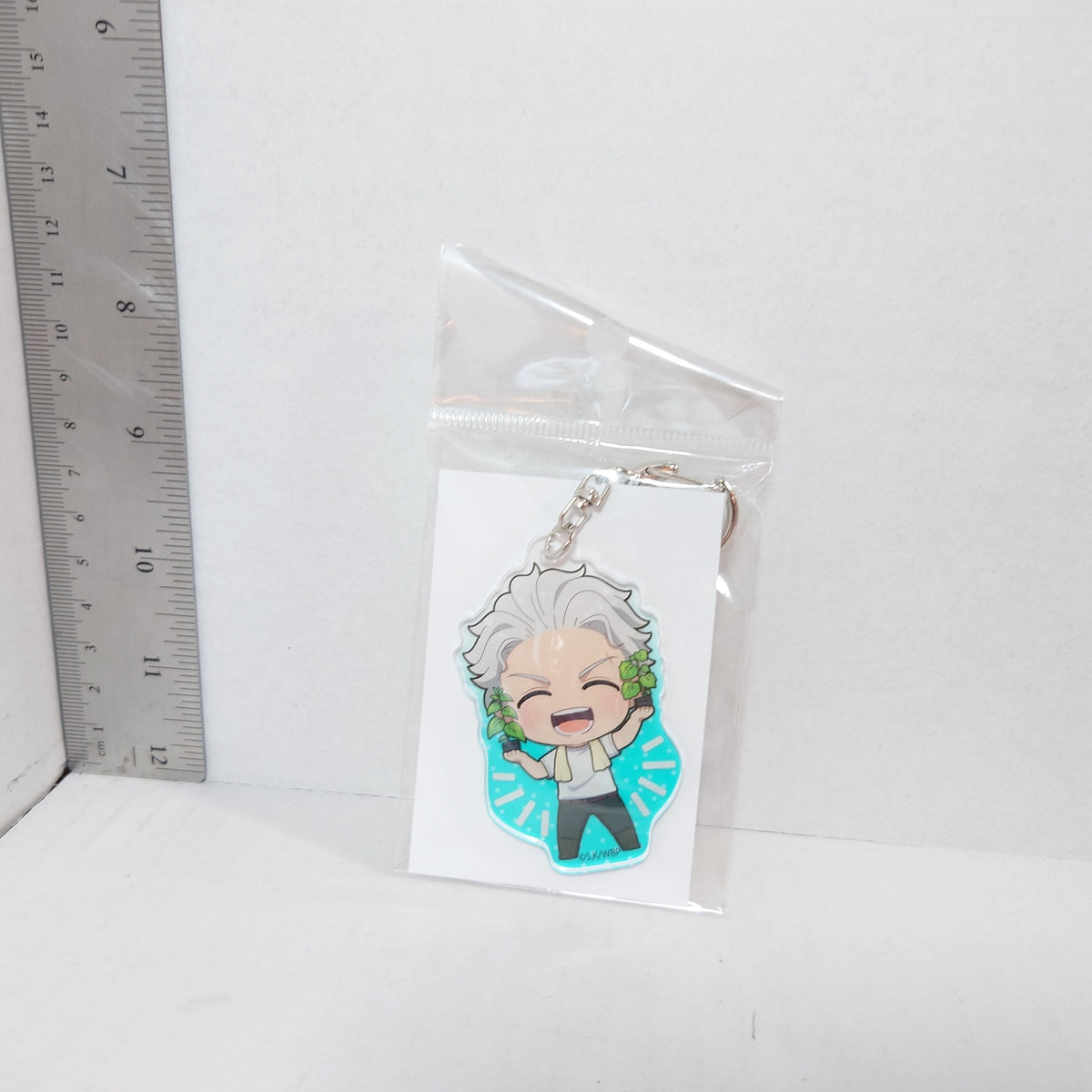 Hajime Umemiya WIND BREAKER Acrylic Keychain