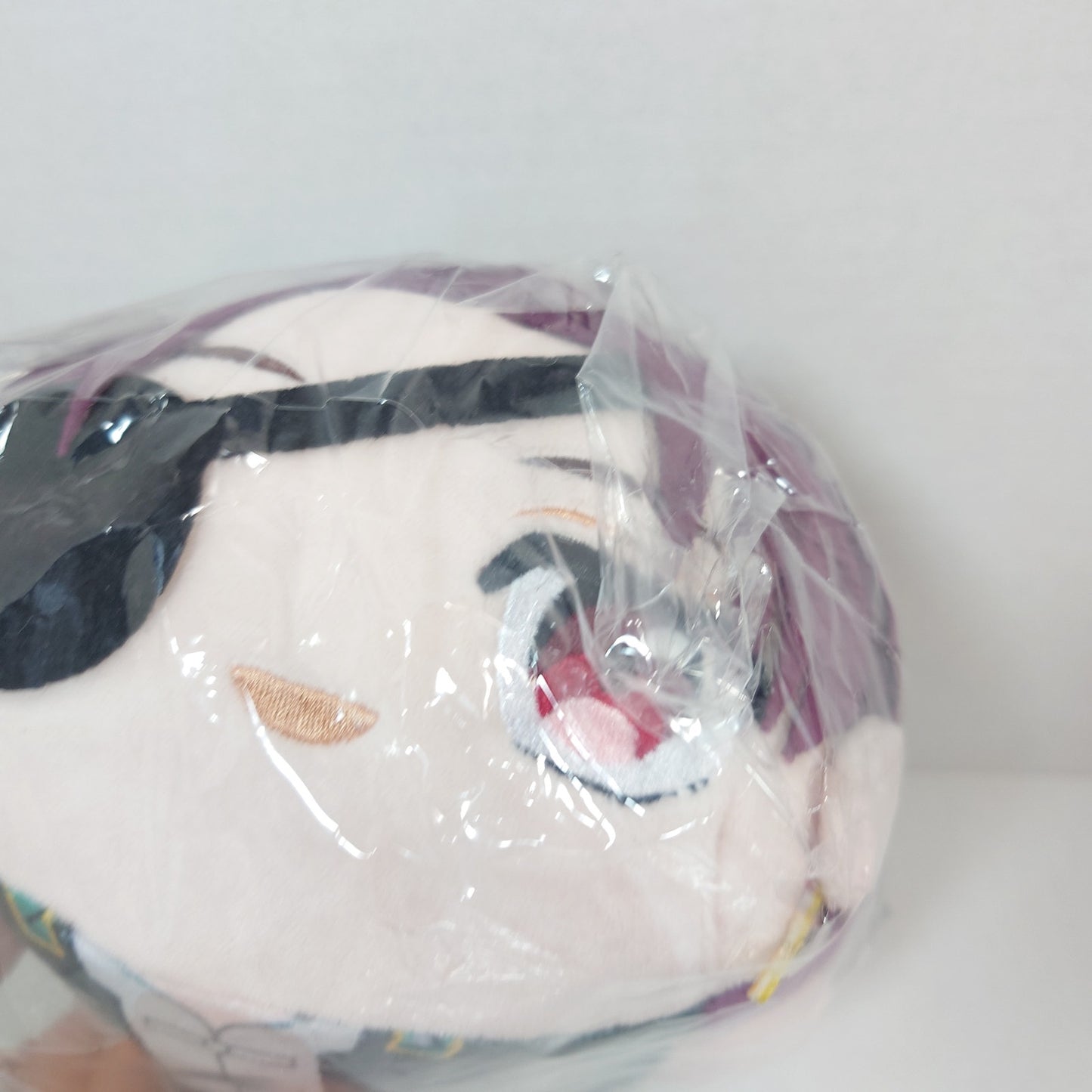 Hayato Suo WIND BREAKER Mochikororin Plush M Size Ver