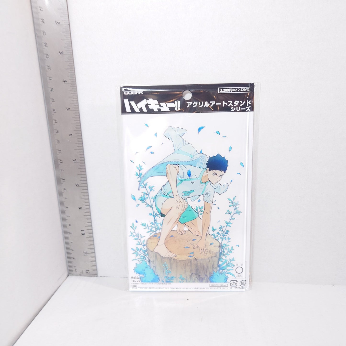 Hajime Iwaizumi Haikyuu!! Acrylic Panel/Stand
