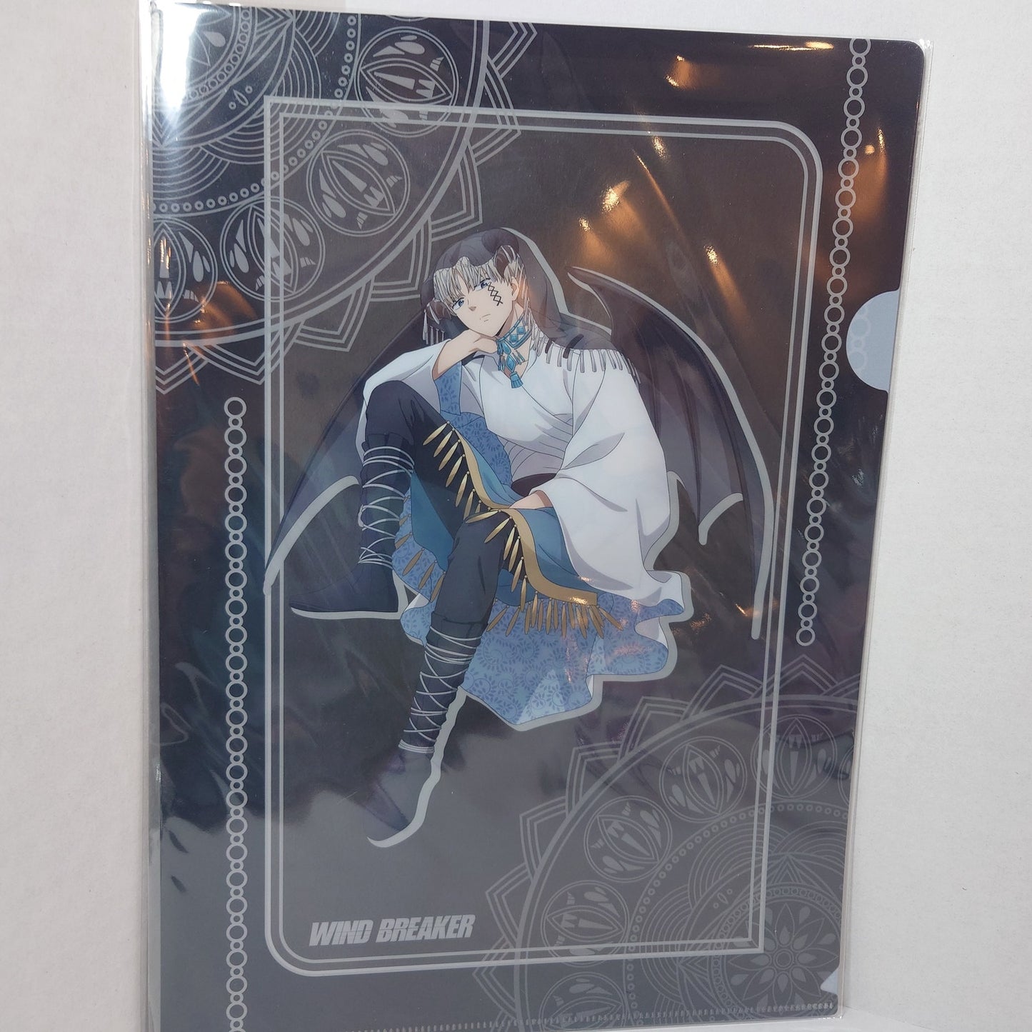 Ren Kaji WIND BREAKER Clear File