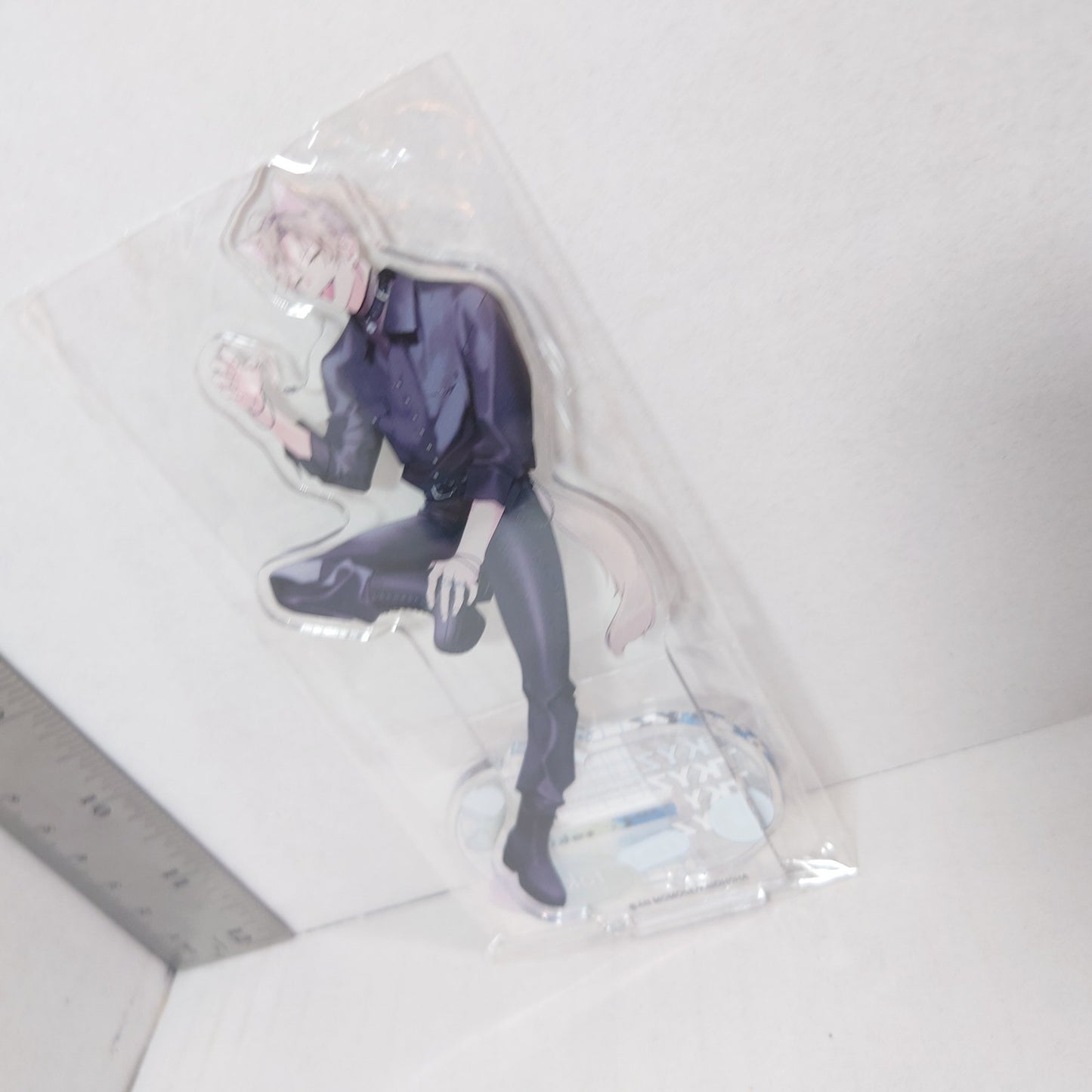 Tokiwa Naka Made Aishite (Love Me To The Core) Acrylic Stand