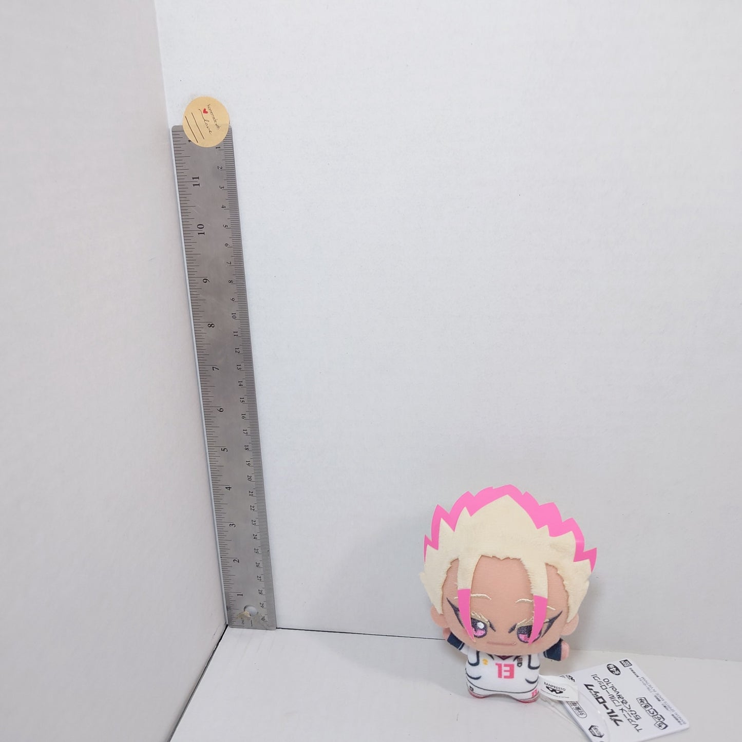 Ryusei Shidou Blue Lock Chibigurumi Plush
