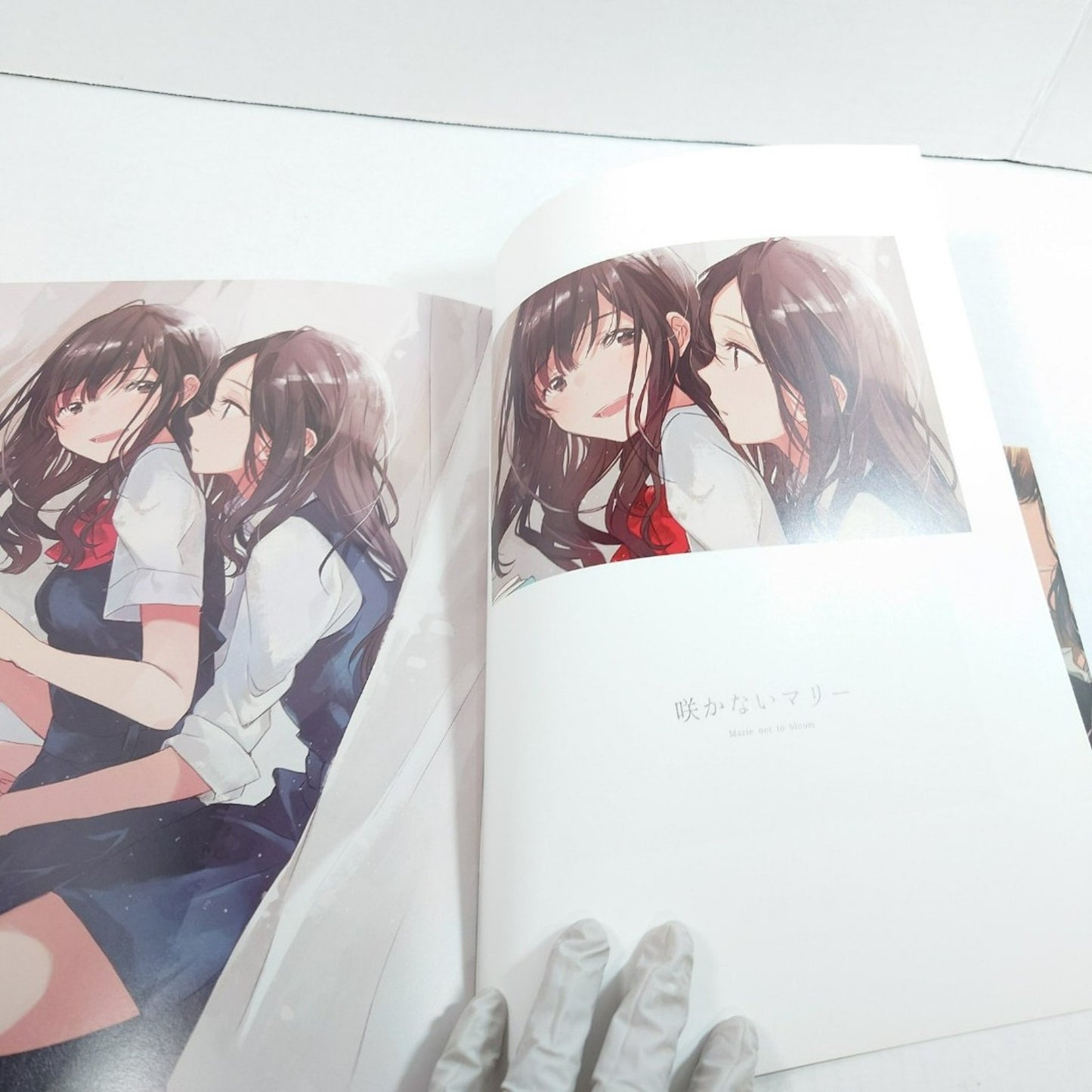 Fly (Furai) Color Illustration Collection "A Hundred Day Of Lily" Yuri GL
