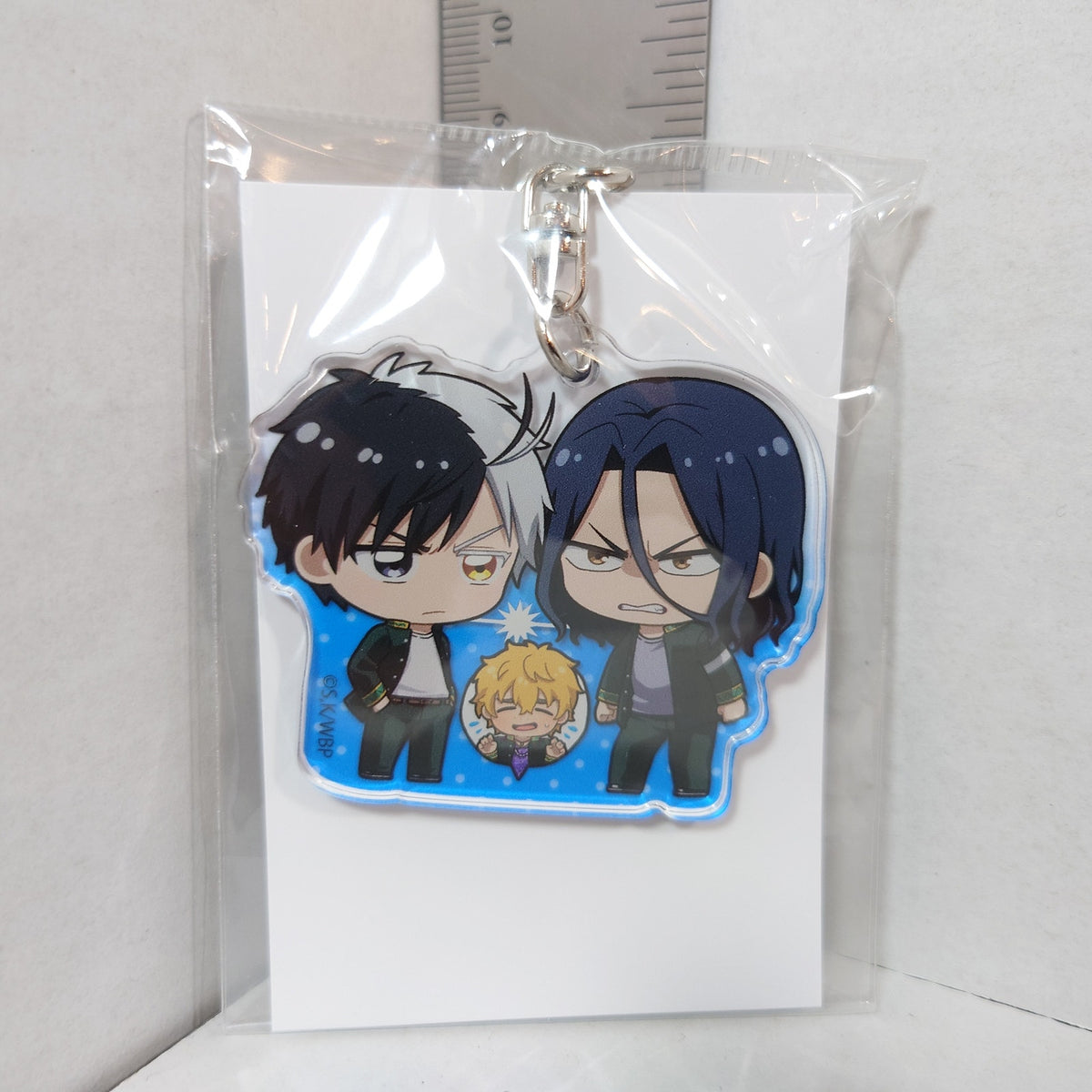 Sakura Haruka & Kyoutarou Sugishita WIND BREAKER Acrylic Keychain