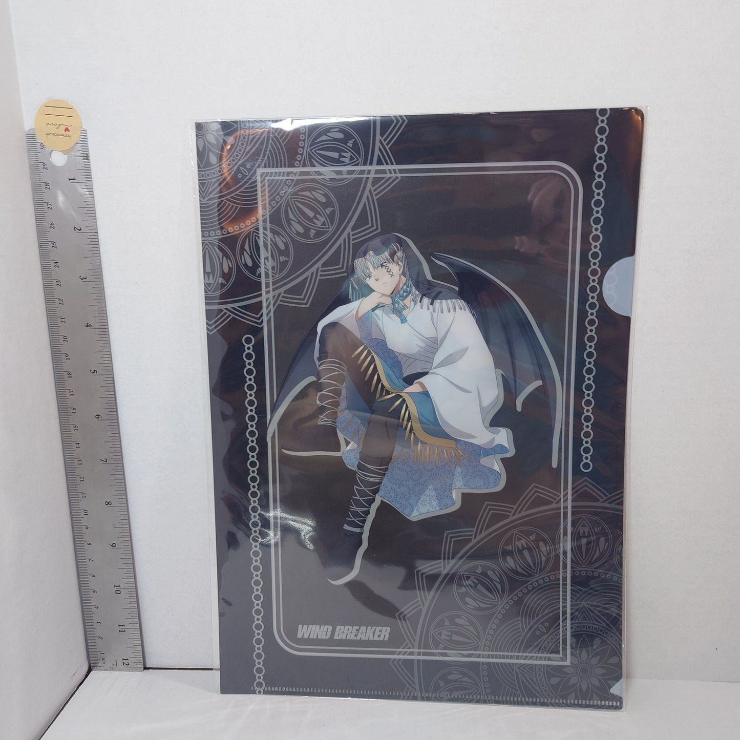 Ren Kaji WIND BREAKER Clear File