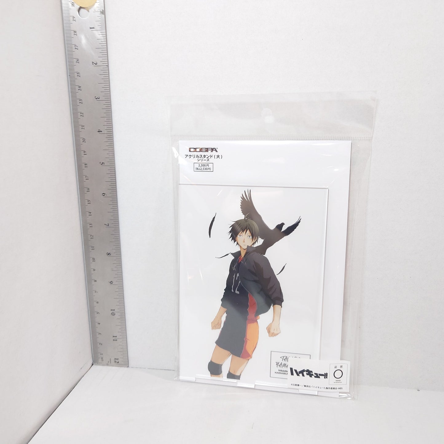Tadashi Yamaguchi Haikyuu! Acrylic Panel/Stand
