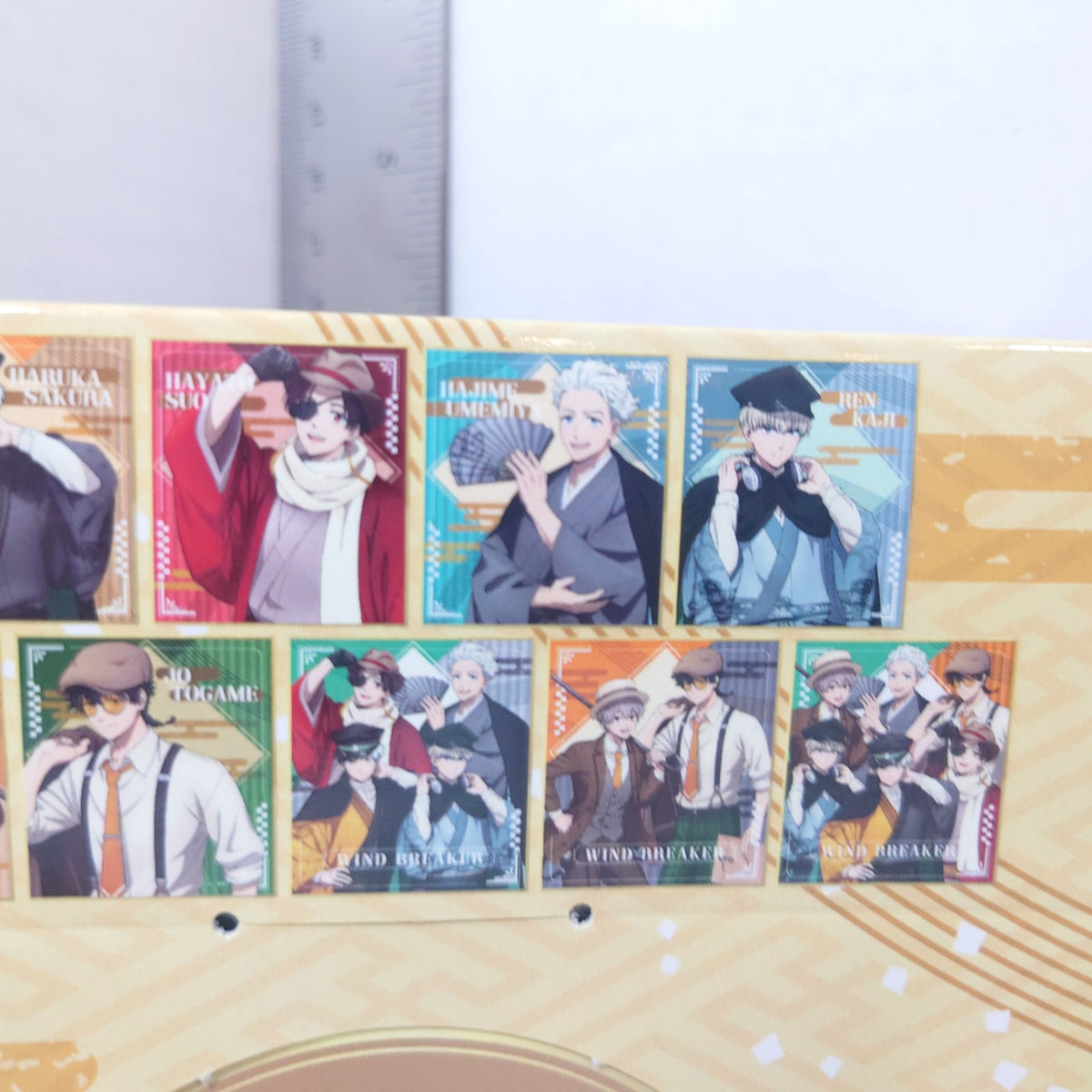 WIND BREAKER Retro Modern Shikishi Box Set