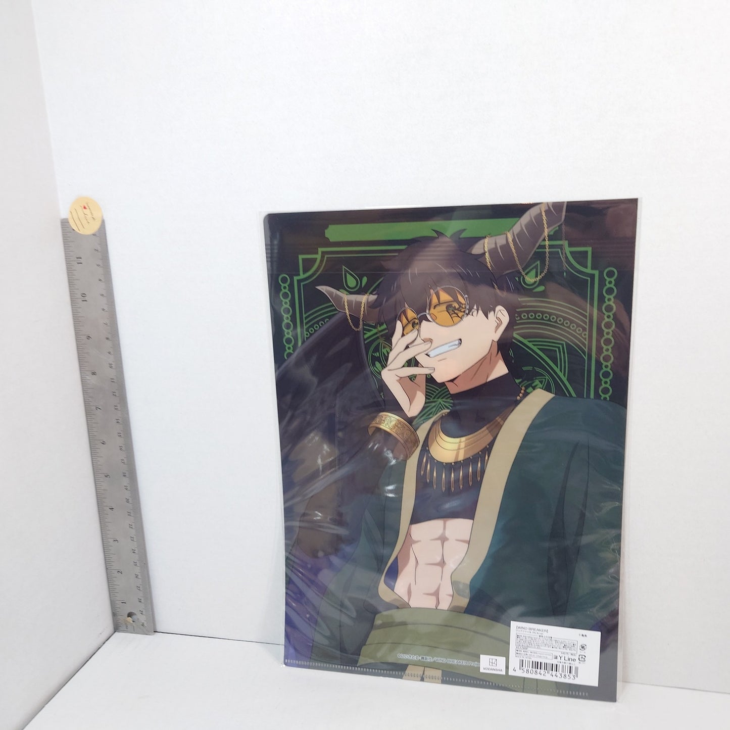 Jo Togame WIND BREAKER Clear File
