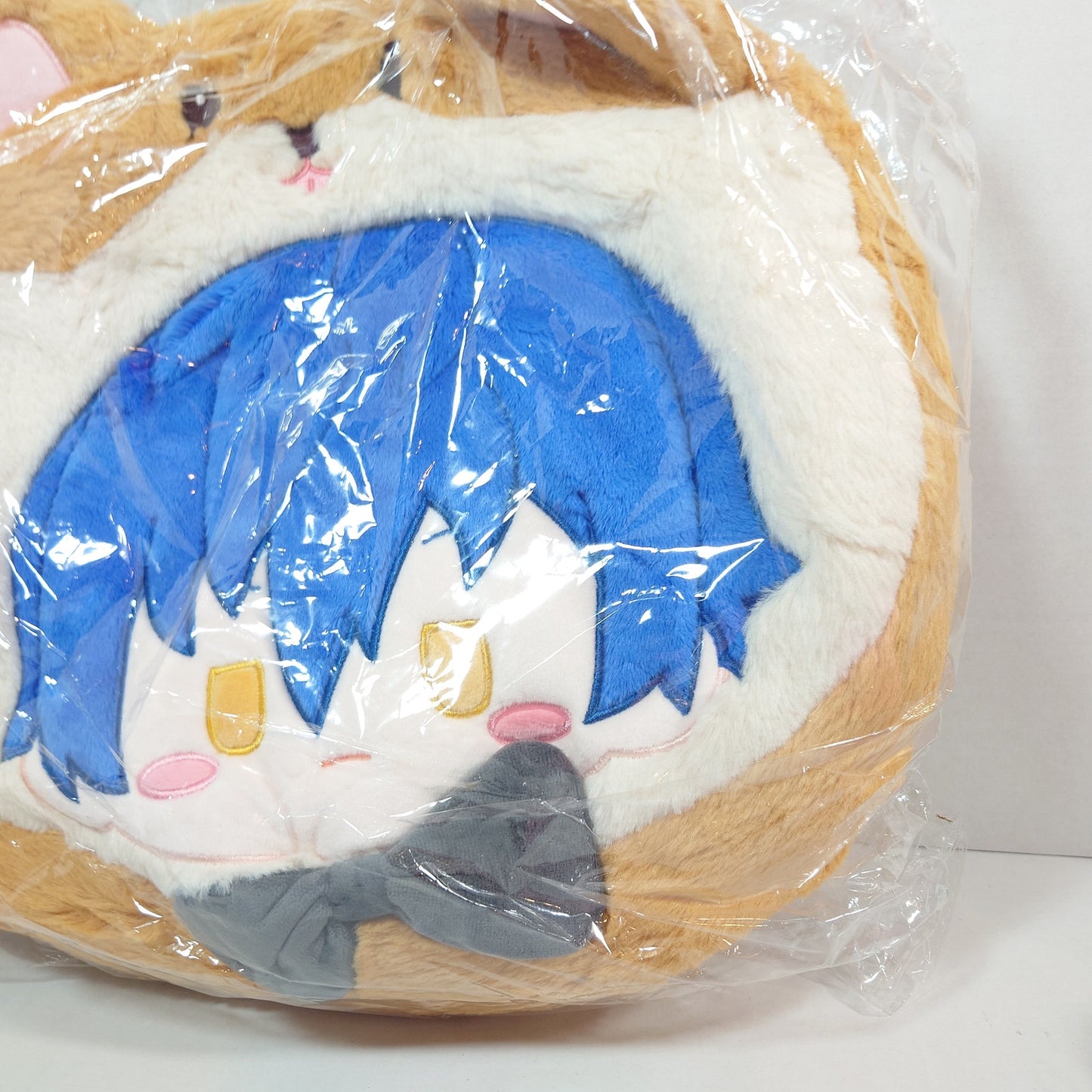 Jun Sazanami Eden Ensemble Stars CN TapTap Itabag