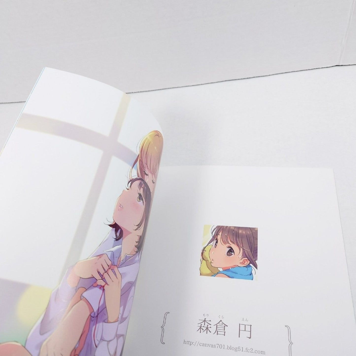 Fly Color Illustration Collection "Let's Dream Of The Moon, And Don't Wake Up"