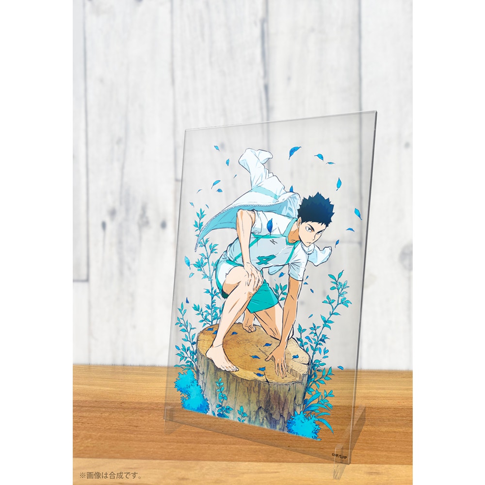 Hajime Iwaizumi Haikyuu!! Acrylic Panel/Stand