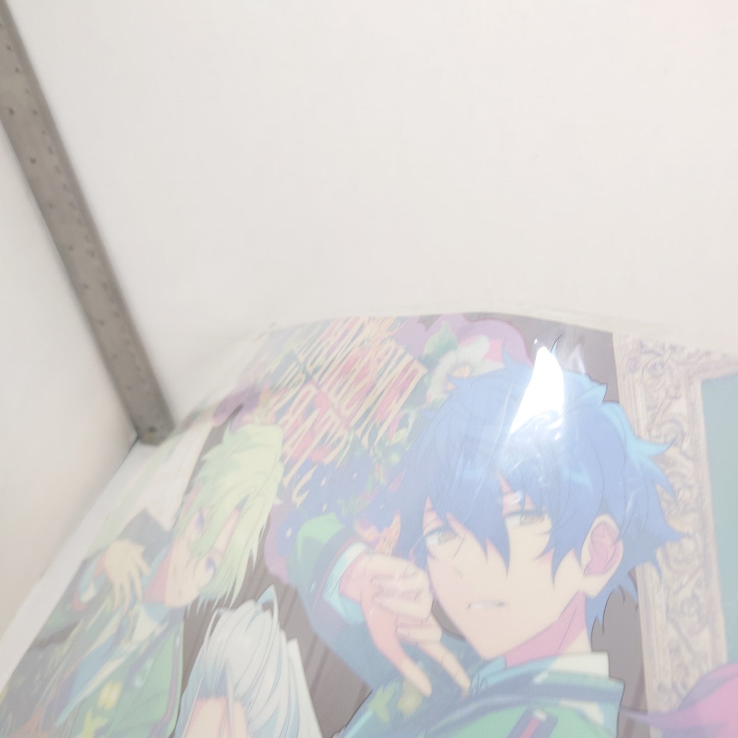 Eden Ensemble Stars TRIP Plastic Poster