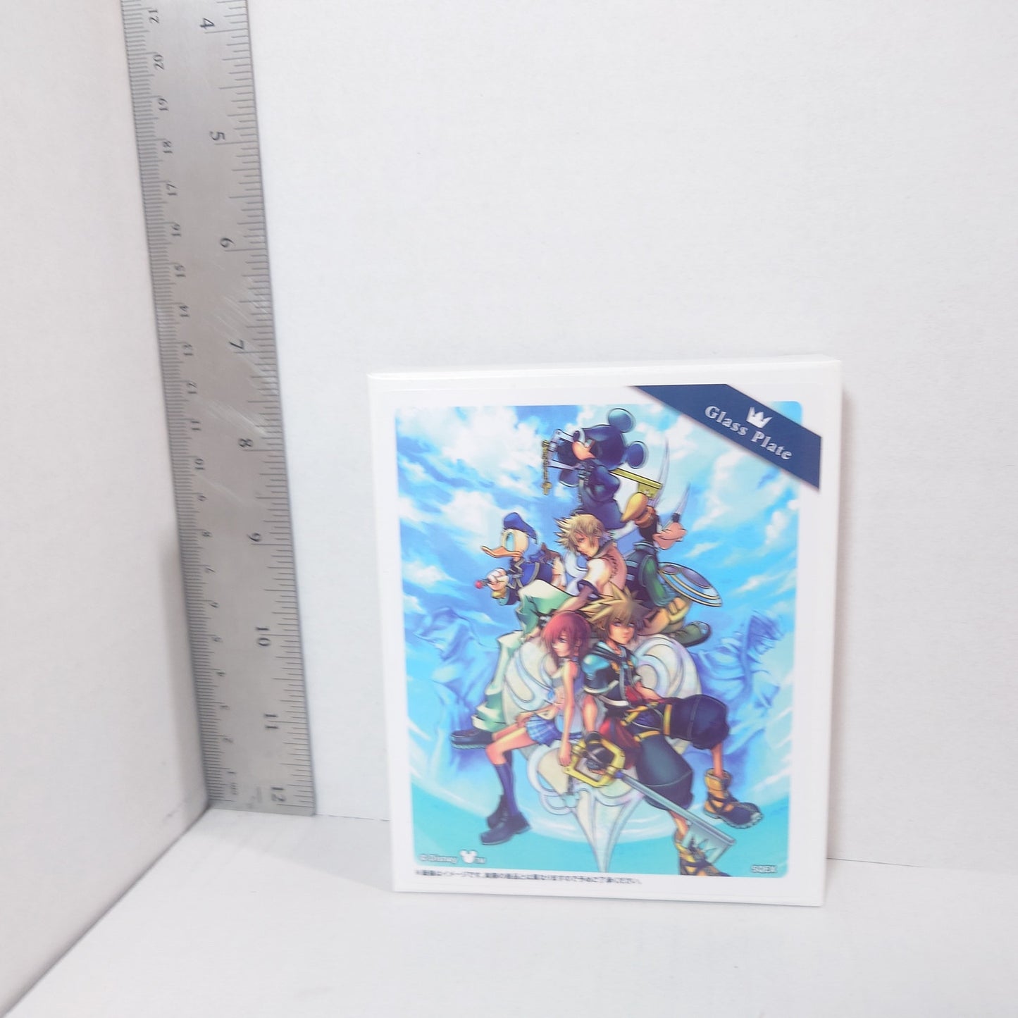 Kingdom Hearts Glass Plate