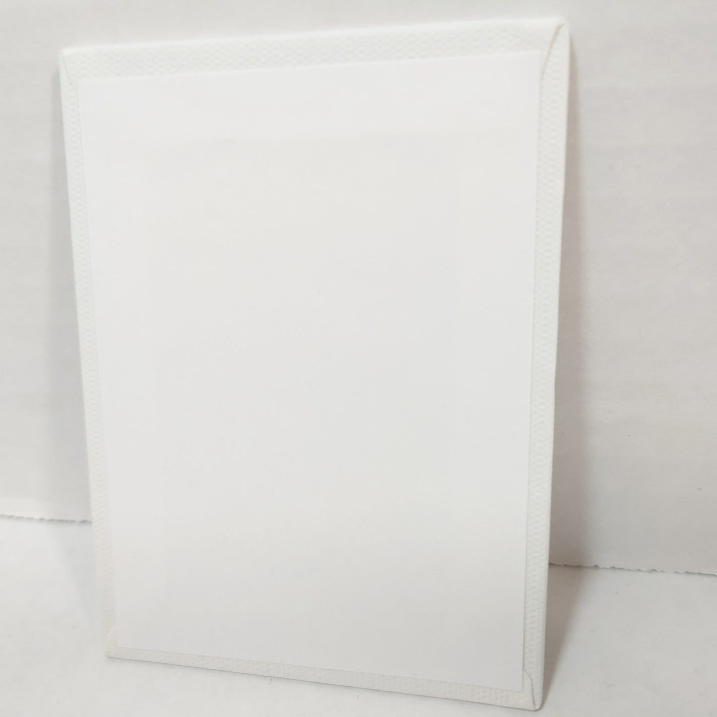 D.Gray-man POPUP Store Lucky Draw Mini Canvas Arystar Krory * Lenalee Lee Ver.