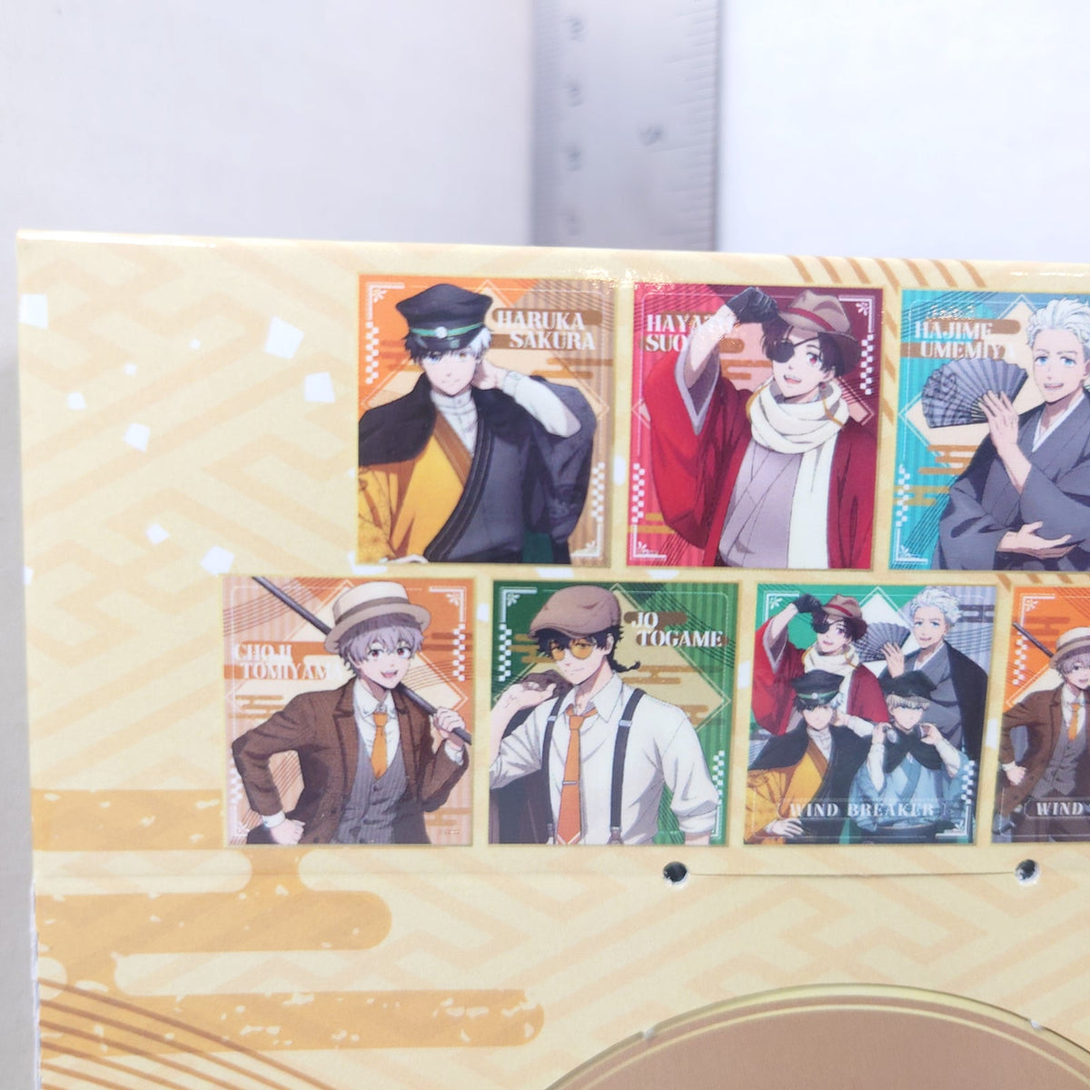 WIND BREAKER Retro Modern Shikishi Box Set