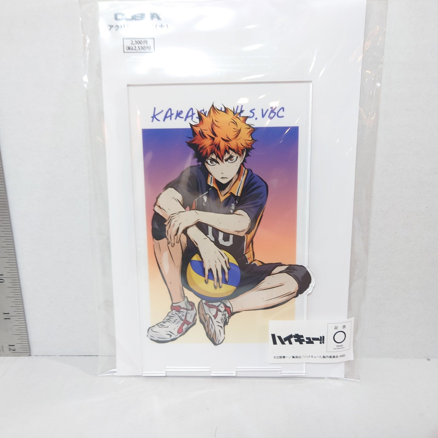 Hinata Shoyo Haikyuu!! Acrylic Panel/Stand