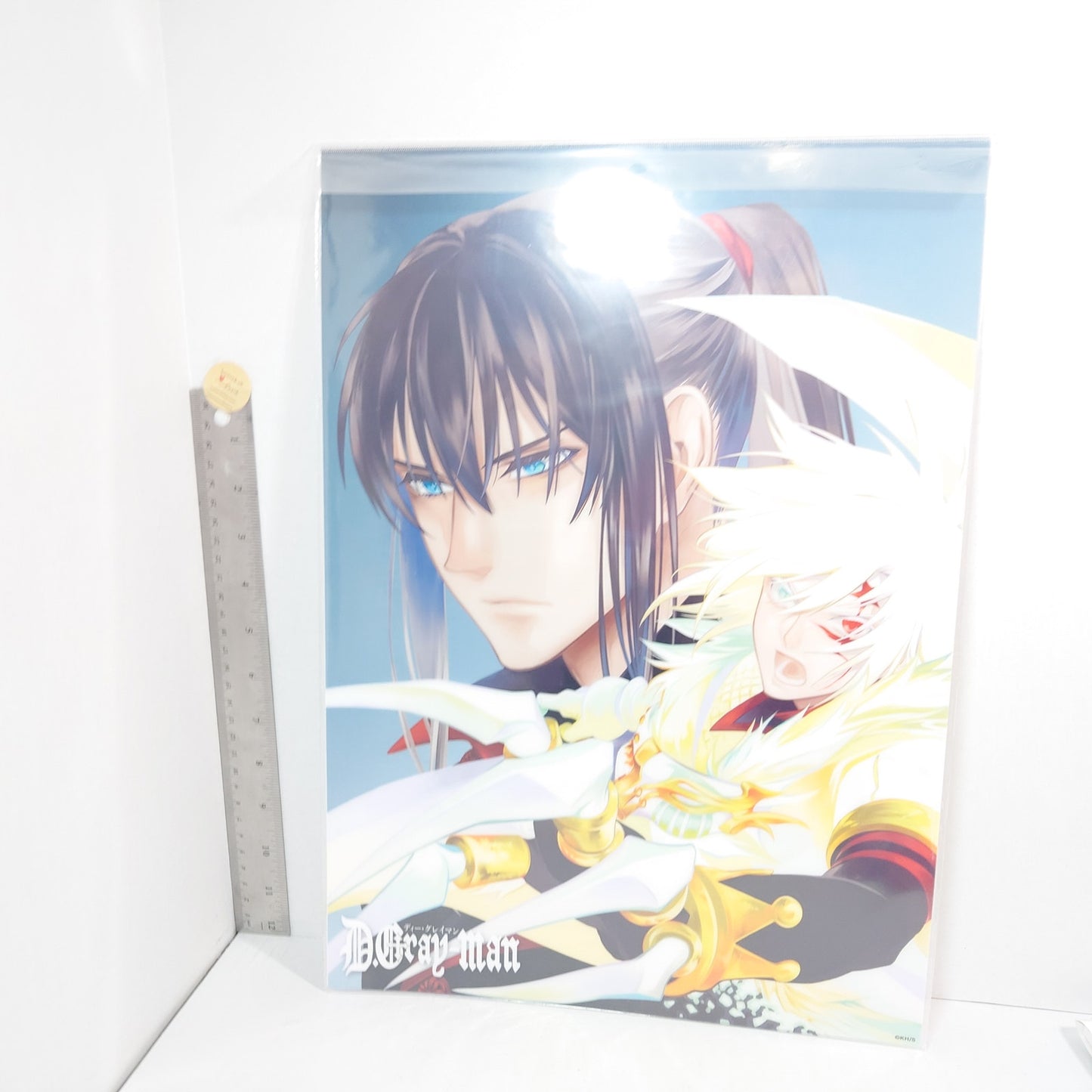 Allen Walker & Yu Kanda D.Gray-man Plastic Poster