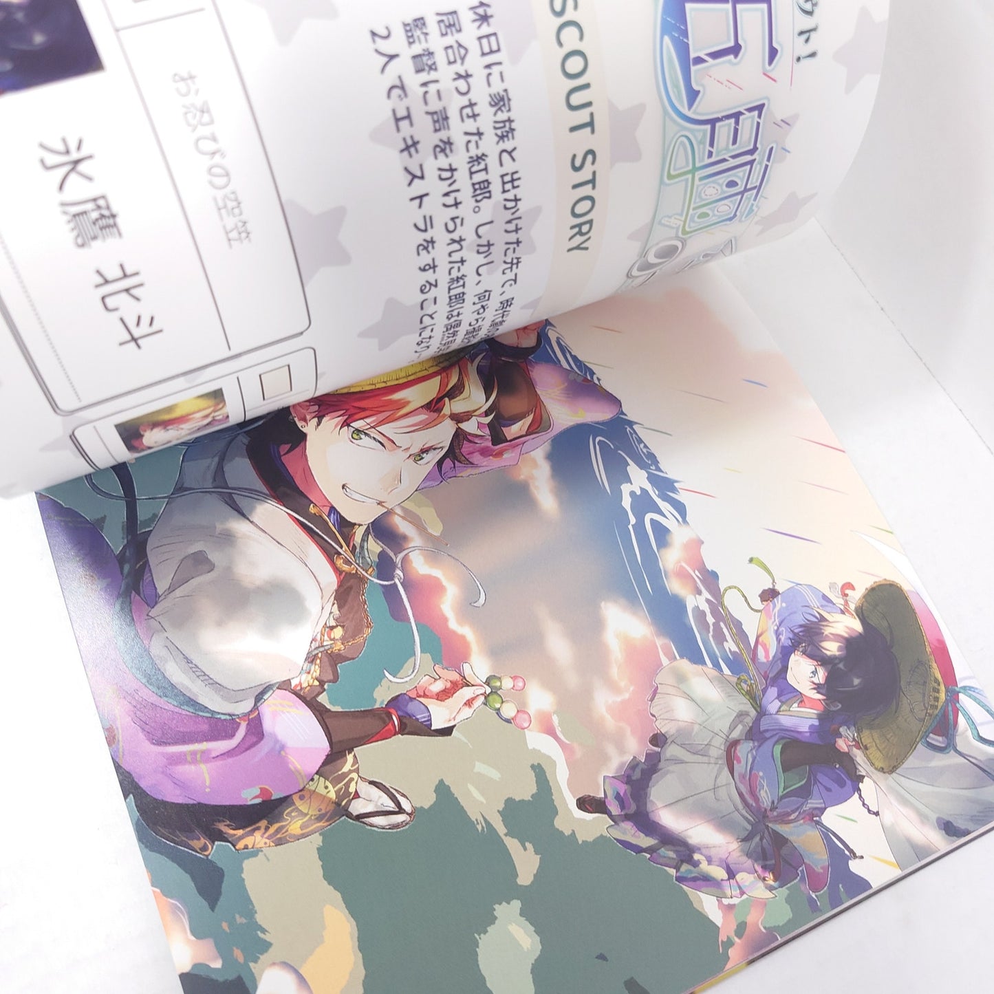Ensemble Stars Doujinshi Artbook