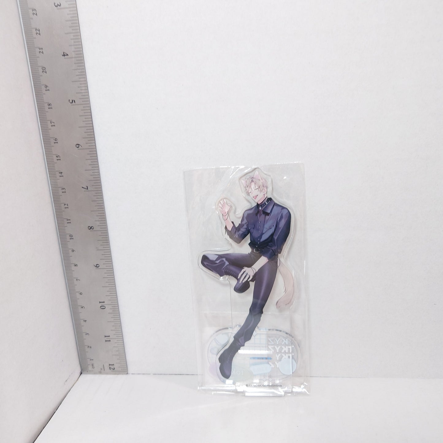 Tokiwa Naka Made Aishite (Love Me To The Core) Acrylic Stand