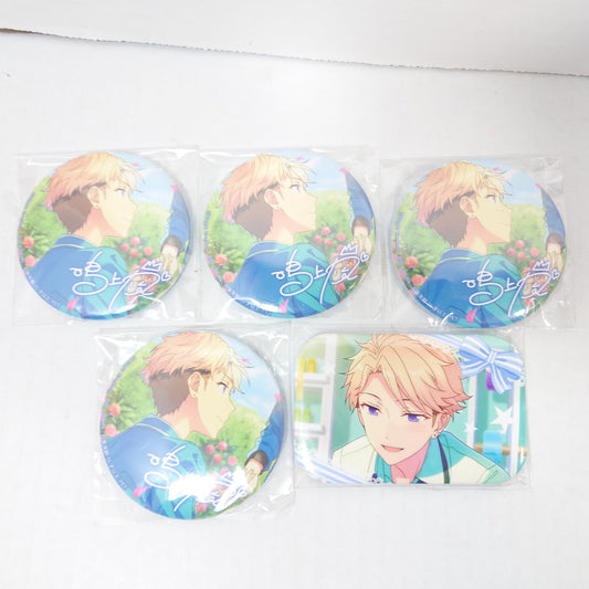 Arashi Narukami Knights Ensemble Stars Pin Button Set
