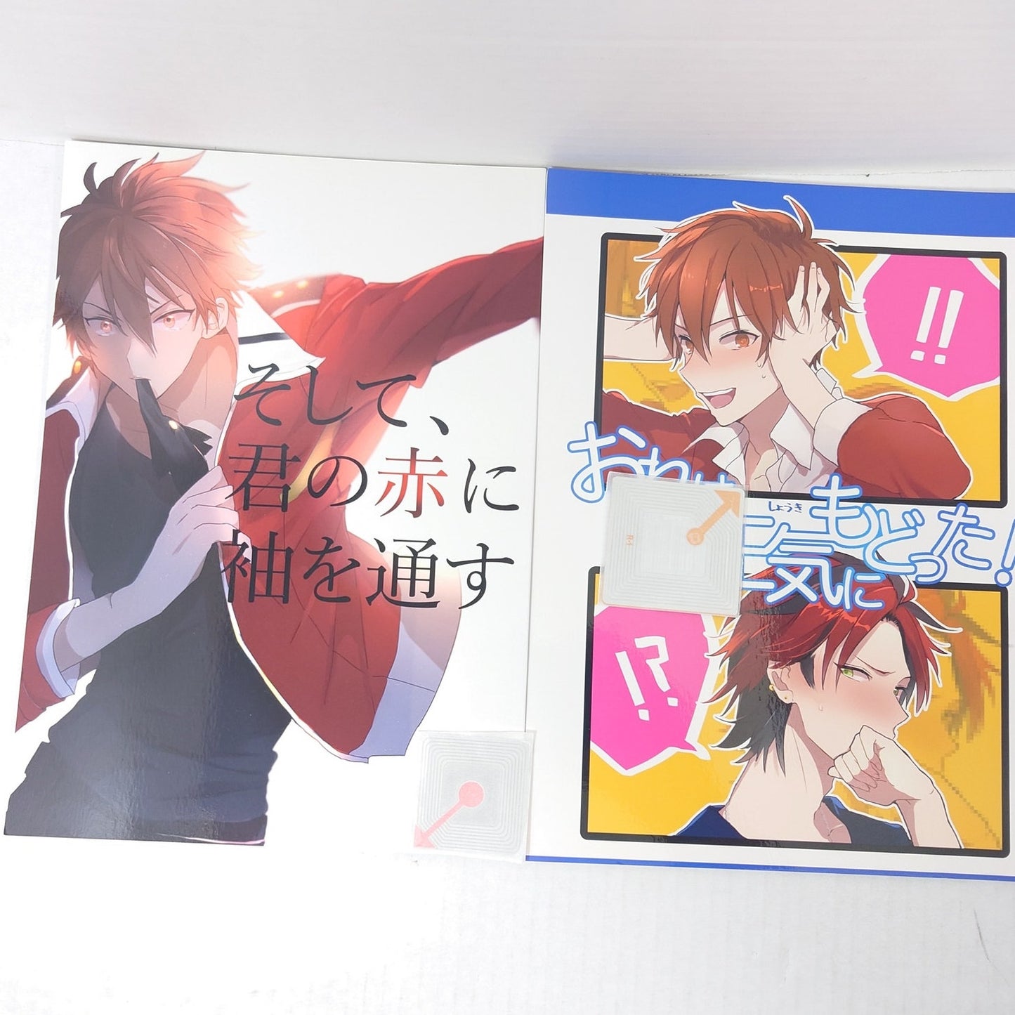 Chiaka Morisawa x Kuro Kiryu Ensemble Stars Set