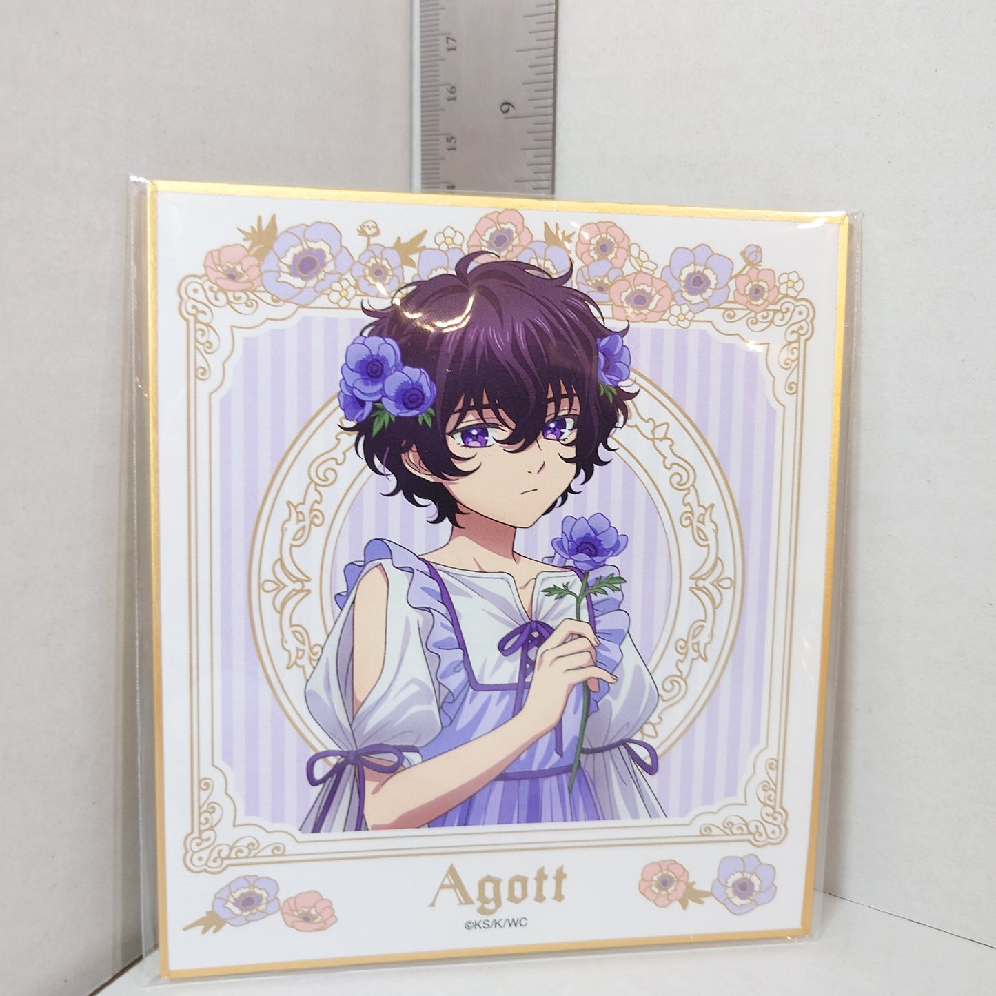 Agott Witch Hat Atelier Shikishi