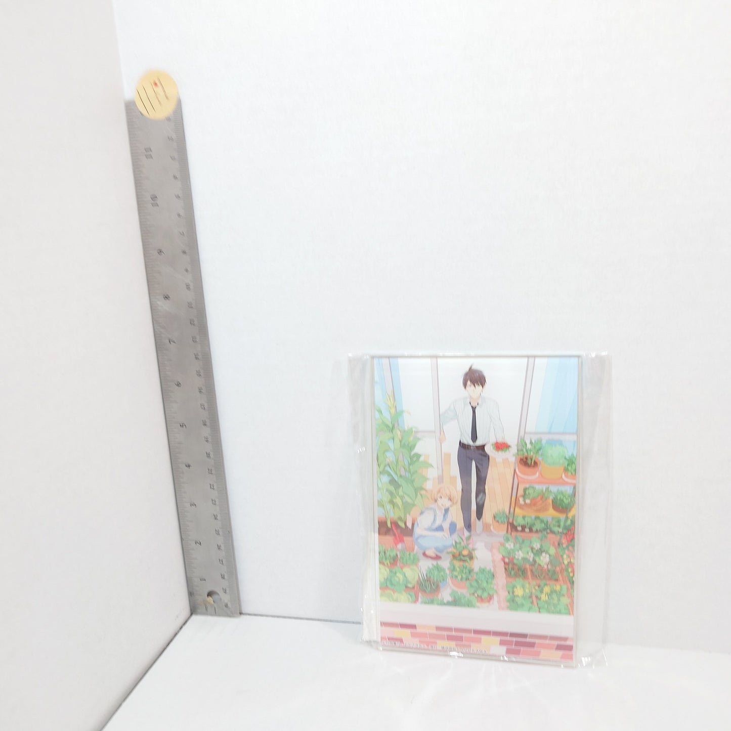 Oiishi Veranda Fujimi Bunko 10th Anniversary Acrylic Stand