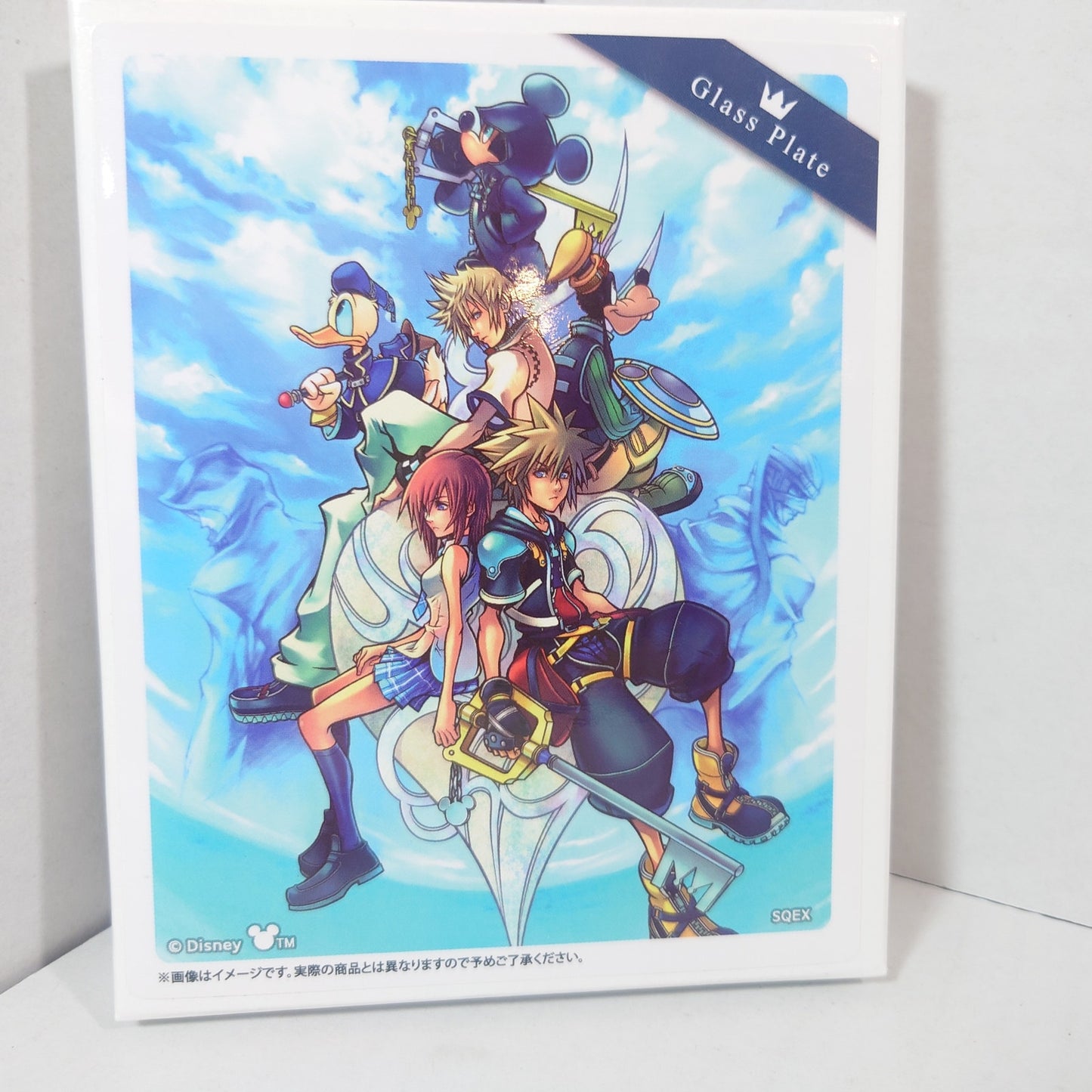 Kingdom Hearts Glass Plate