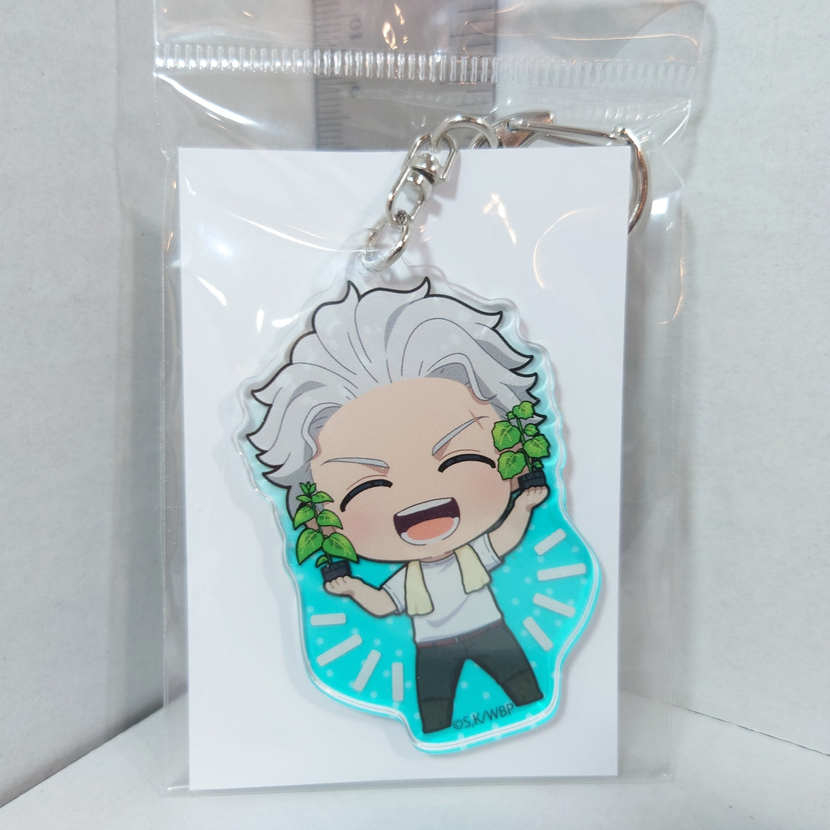 Hajime Umemiya WIND BREAKER Acrylic Keychain