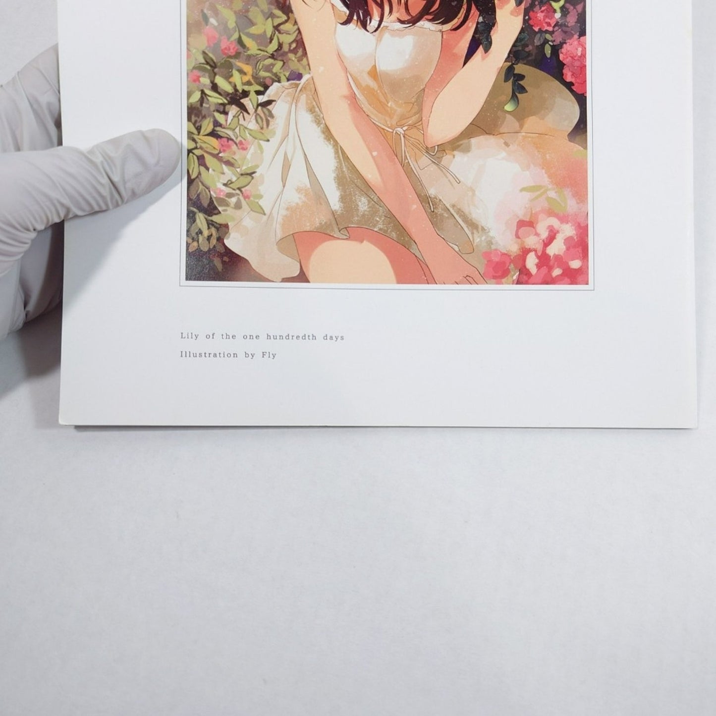 Fly (Furai) Color Illustration Collection "A Hundred Day Of Lily" Yuri GL
