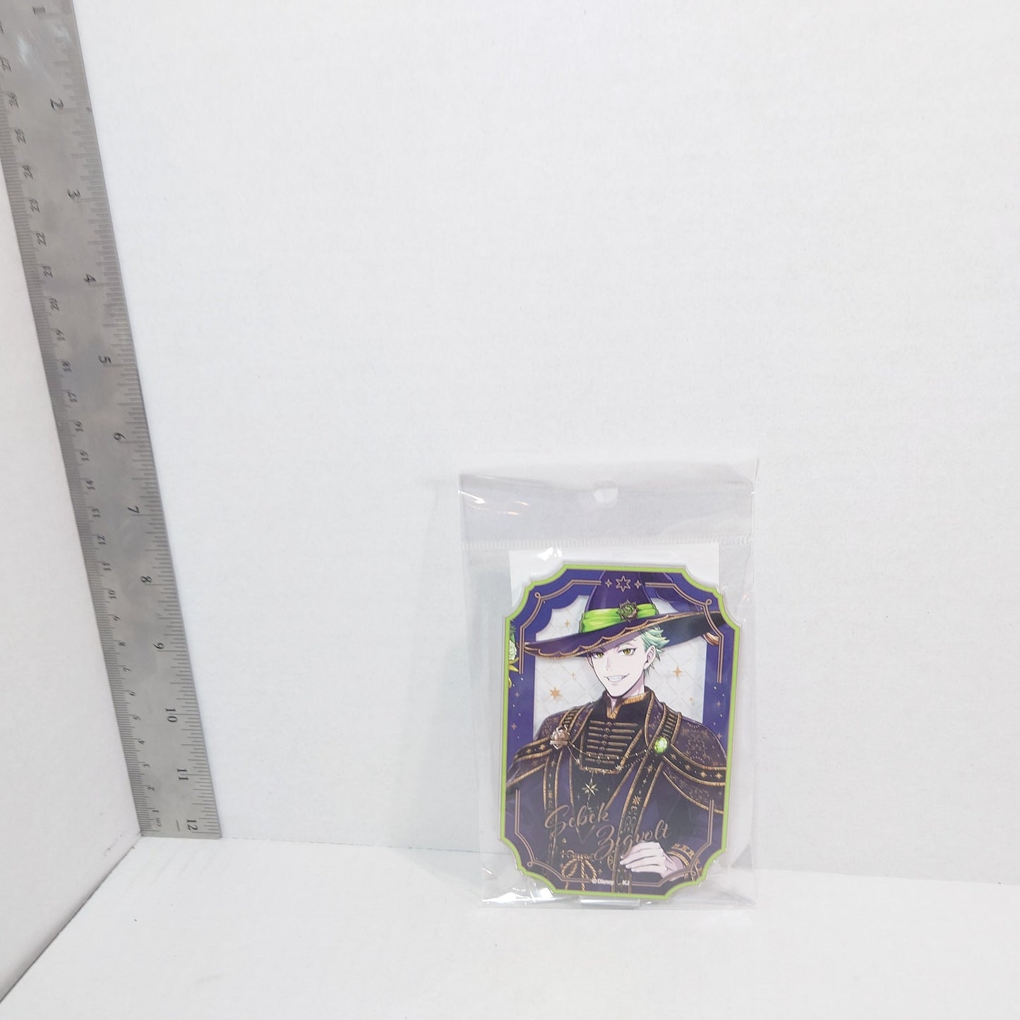 Sebek Zigvolt Diasomnia Twisted Wonderland Acrylic Stand