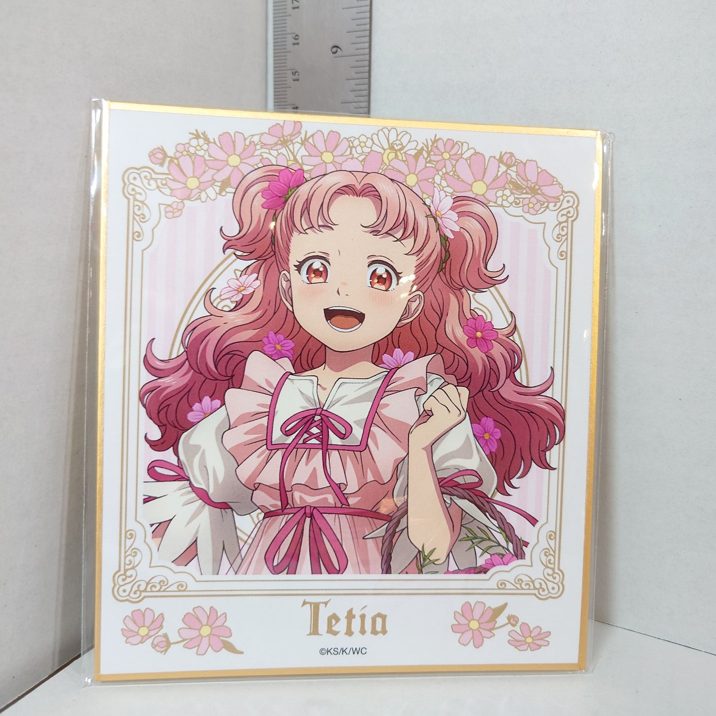 Tetia Witch Hat Atelier Shikishi