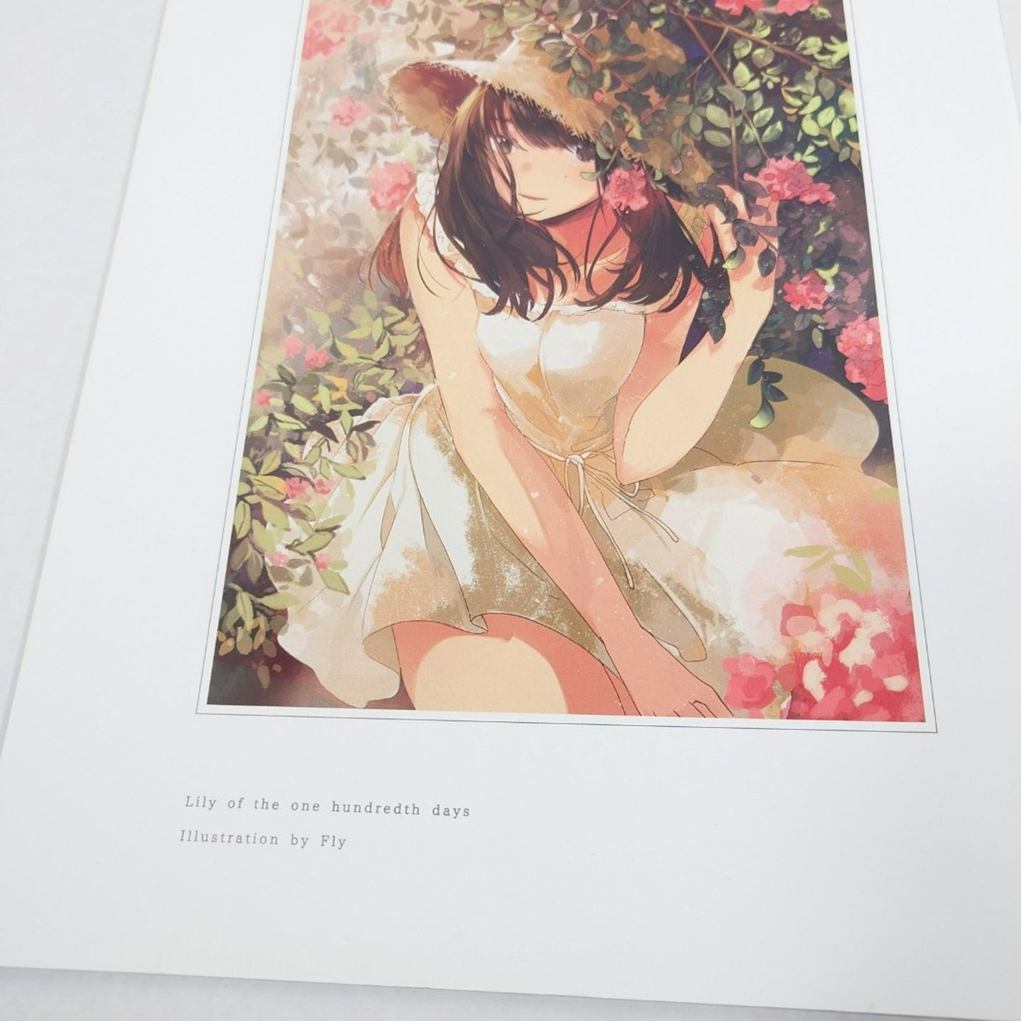 Fly (Furai) Color Illustration Collection "A Hundred Day Of Lily" Yuri GL