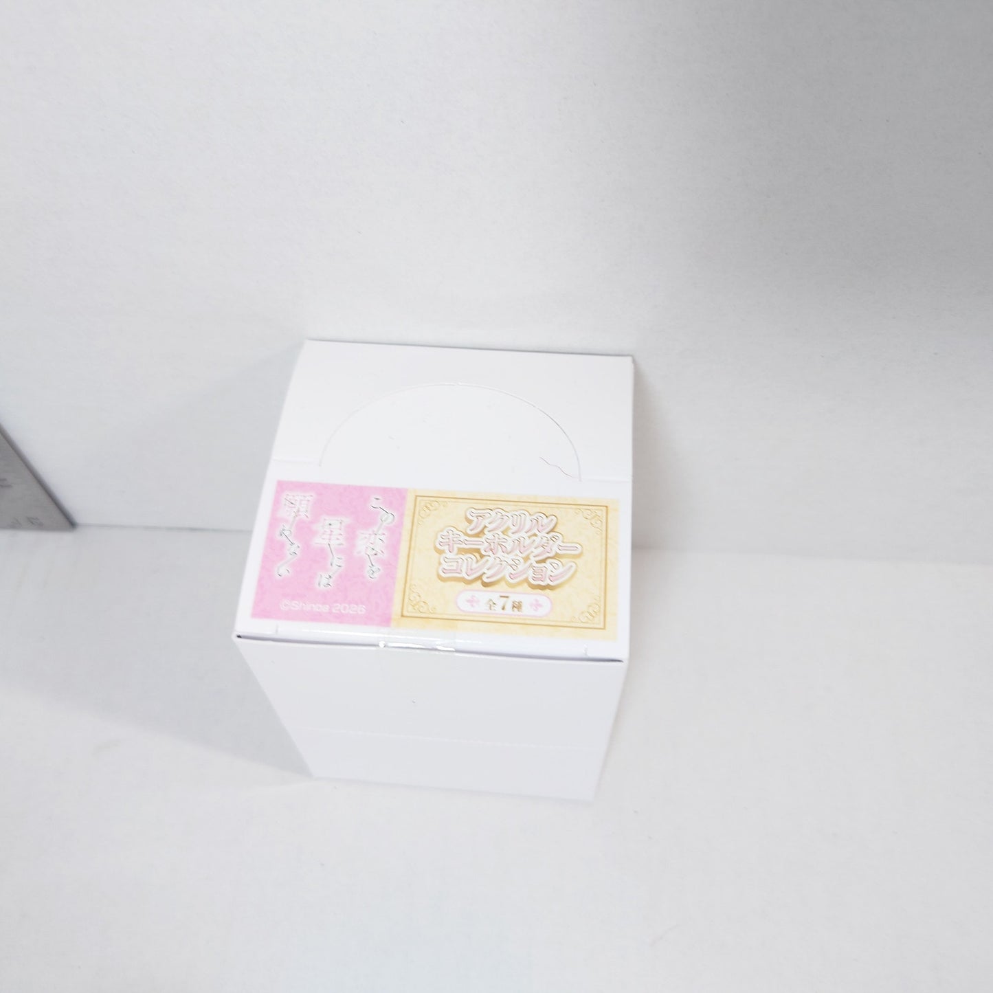 There is No Love Wishing Upon a Star Acrylic Keychain Box Set