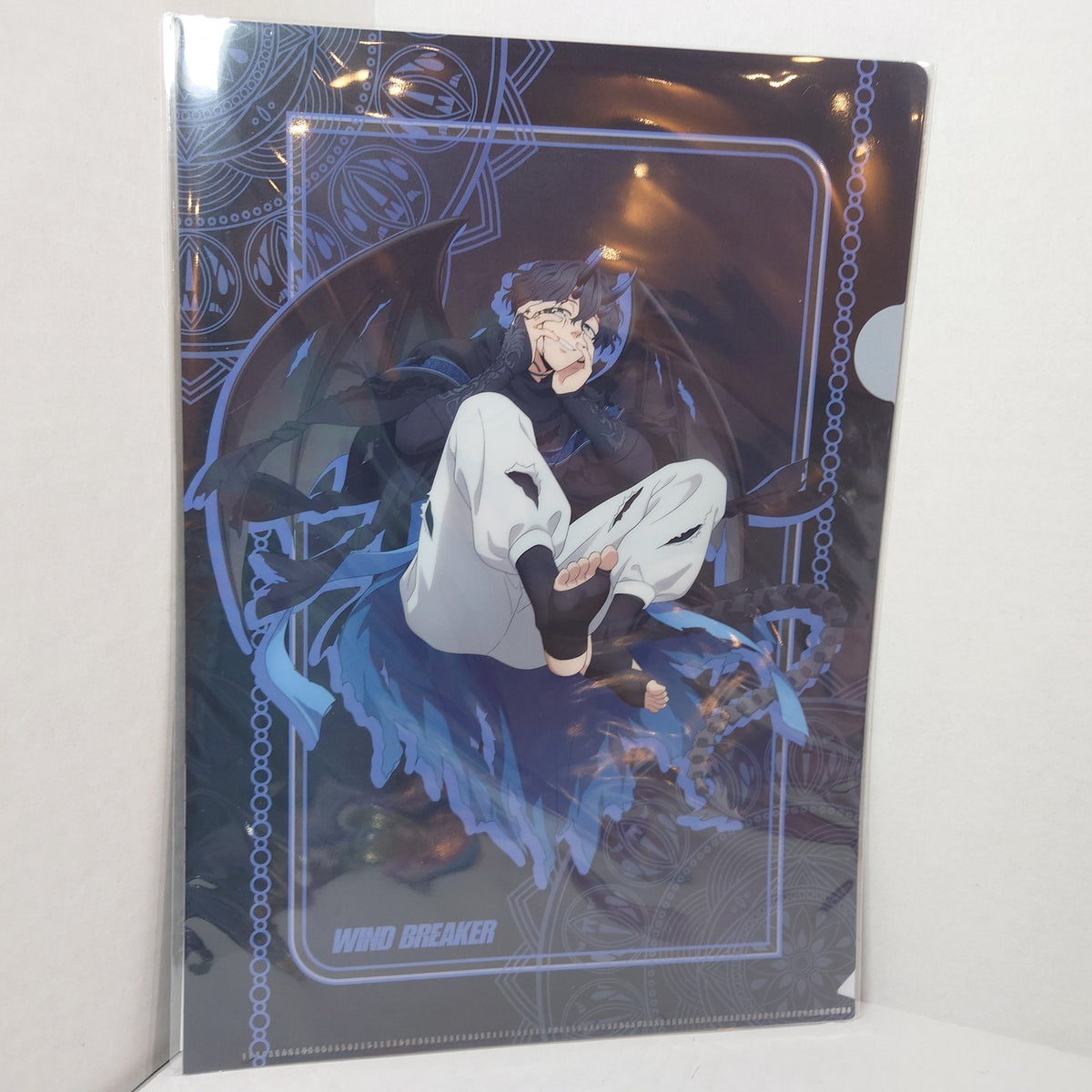 Endo Yamato WIND BREAKER Clear File